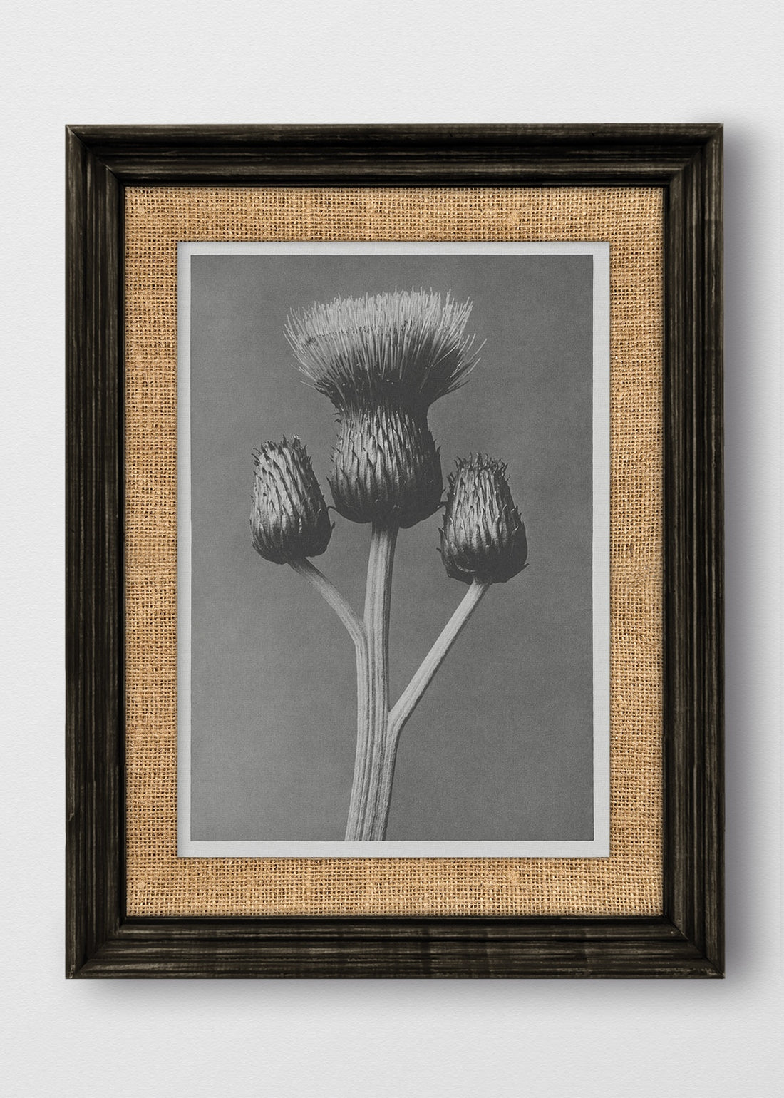 VINTAGE NEGRO ARPILLERA