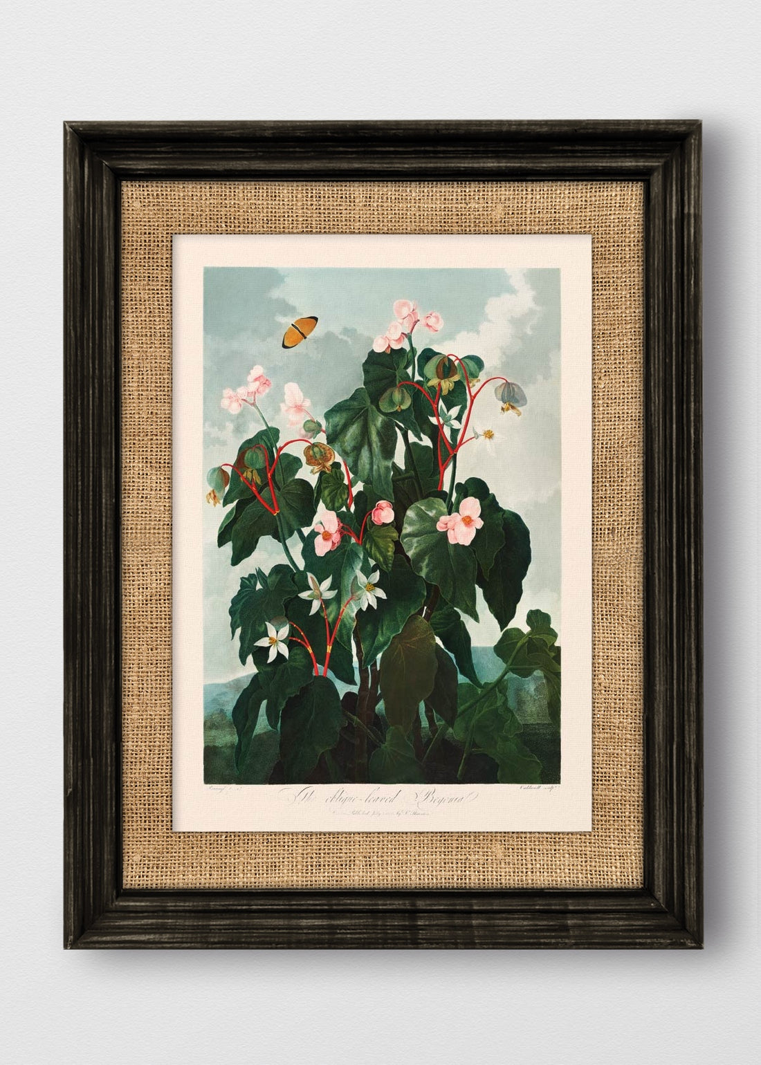 VINTAGE NEGRO ARPILLERA