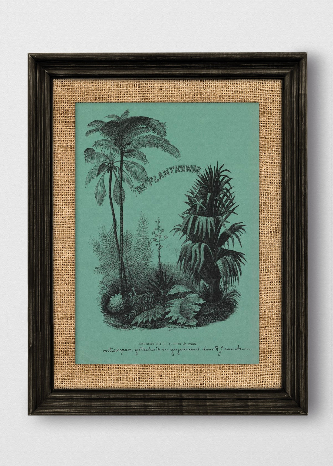 VINTAGE NEGRO ARPILLERA