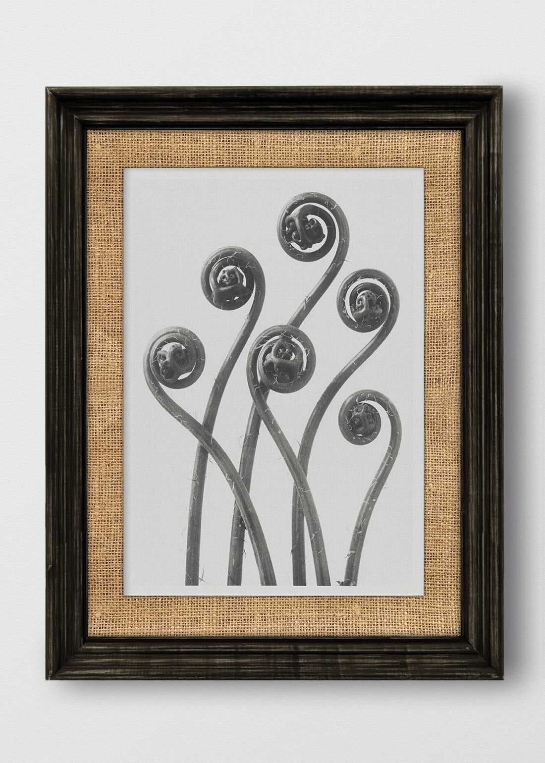 VINTAGE NEGRO ARPILLERA