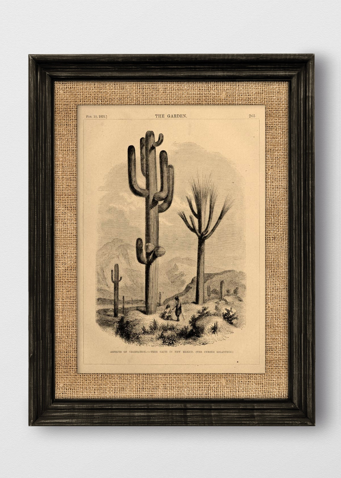 VINTAGE NEGRO ARPILLERA