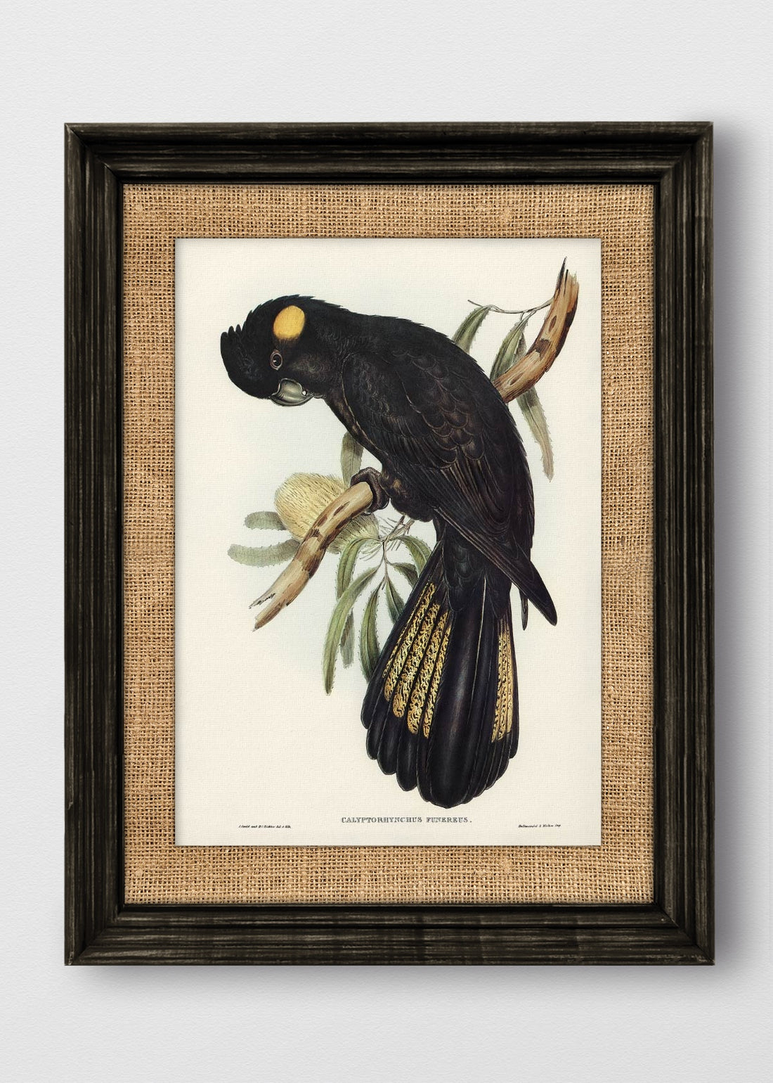 VINTAGE NEGRO ARPILLERA