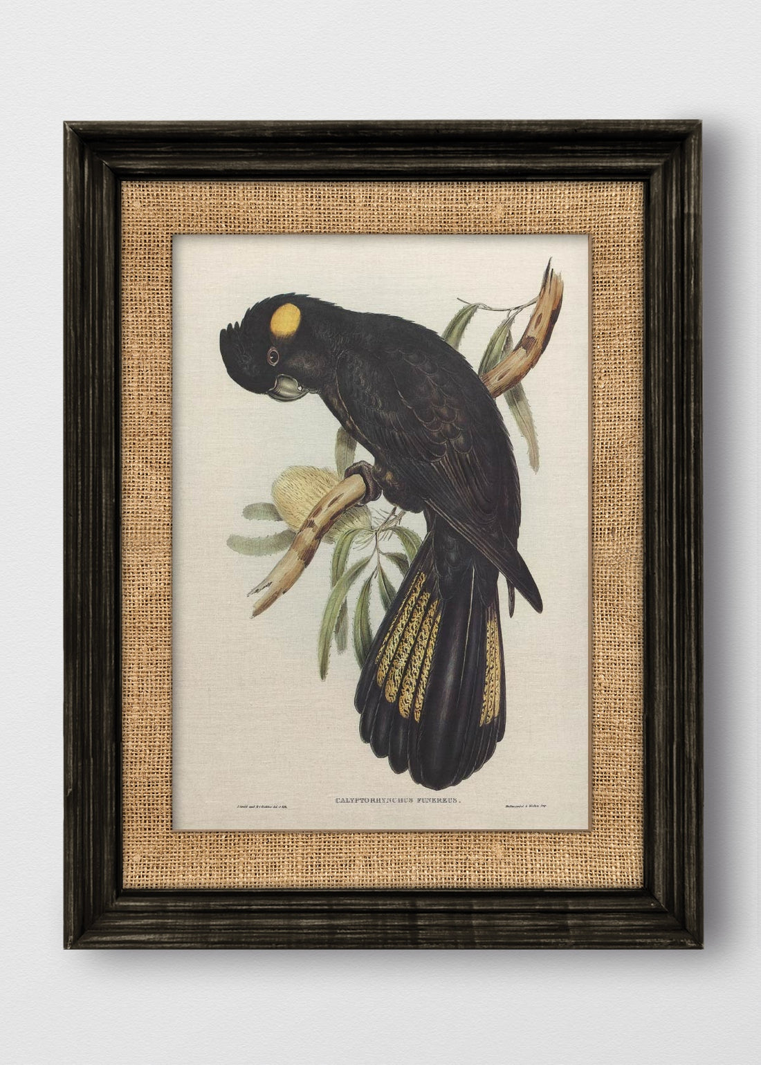 VINTAGE NEGRO ARPILLERA