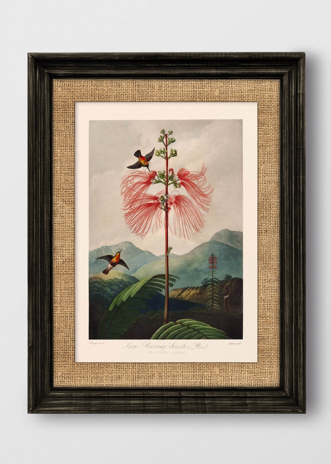 VINTAGE NEGRO ARPILLERA