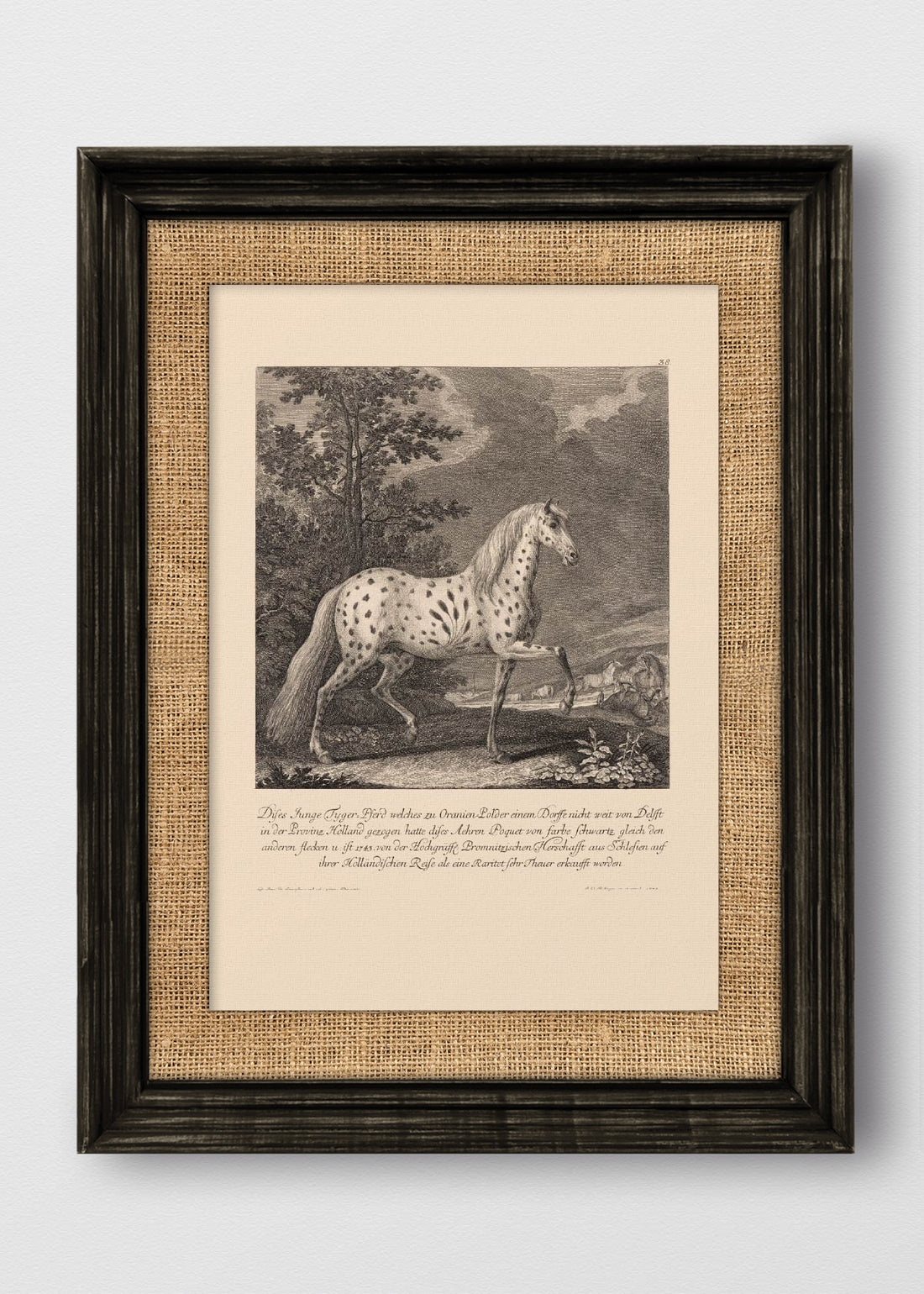 VINTAGE NEGRO ARPILLERA