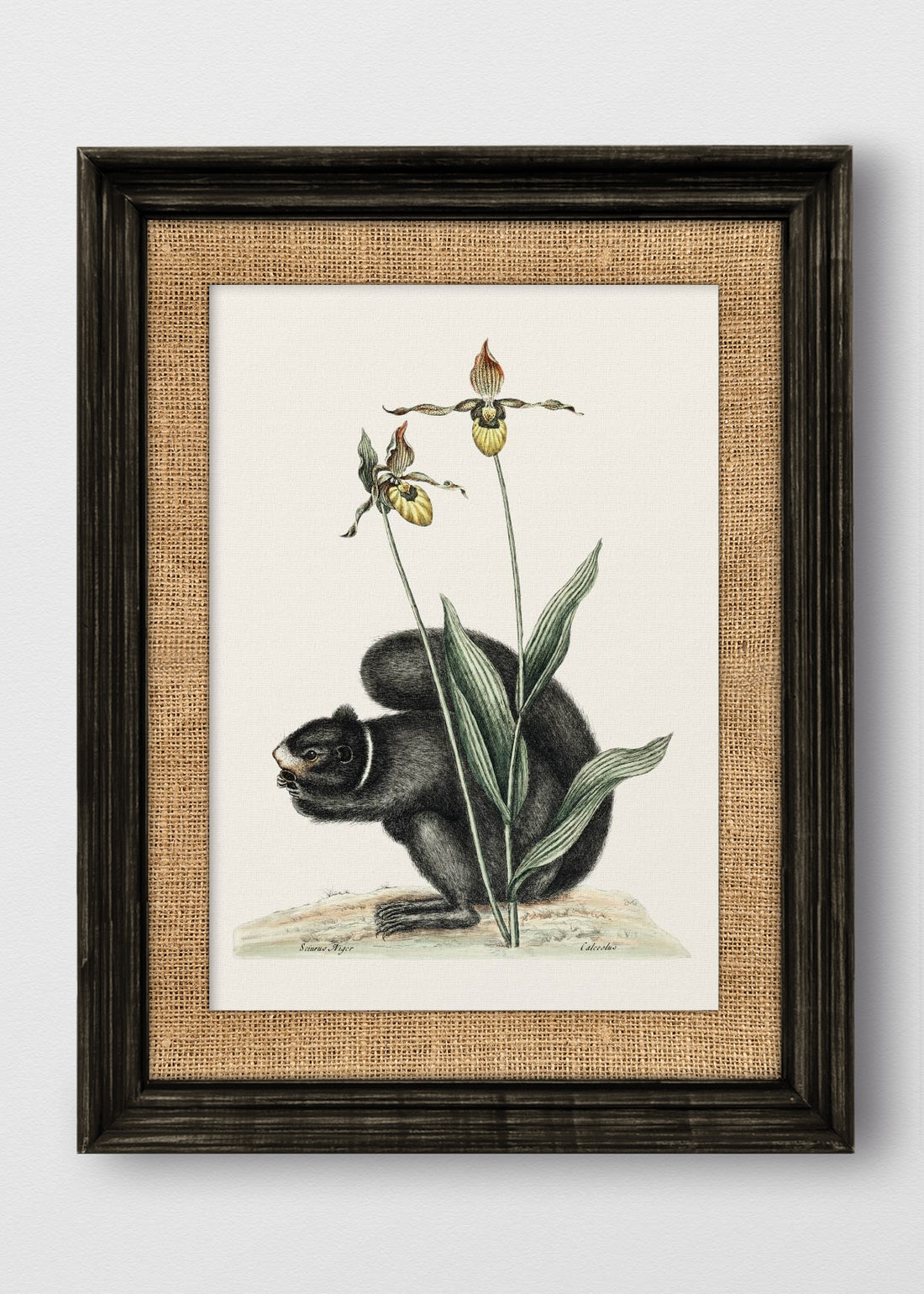 VINTAGE NEGRO ARPILLERA