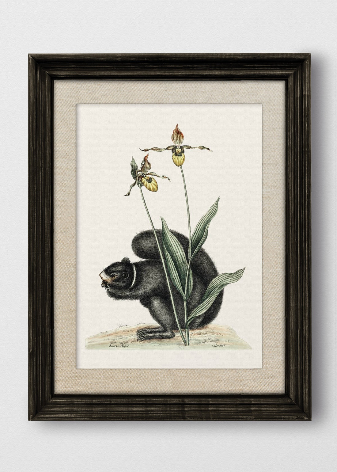 VINTAGE NEGRO LINO CRUDO