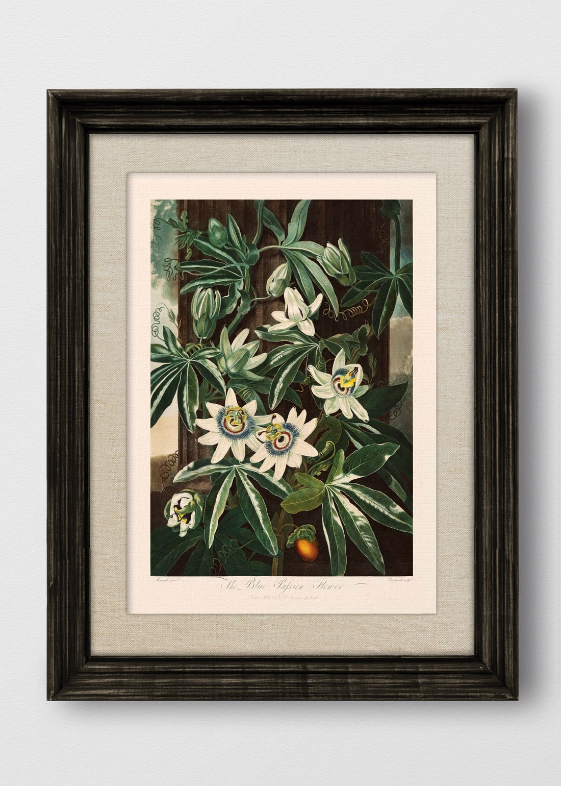VINTAGE NEGRO LINO CRUDO