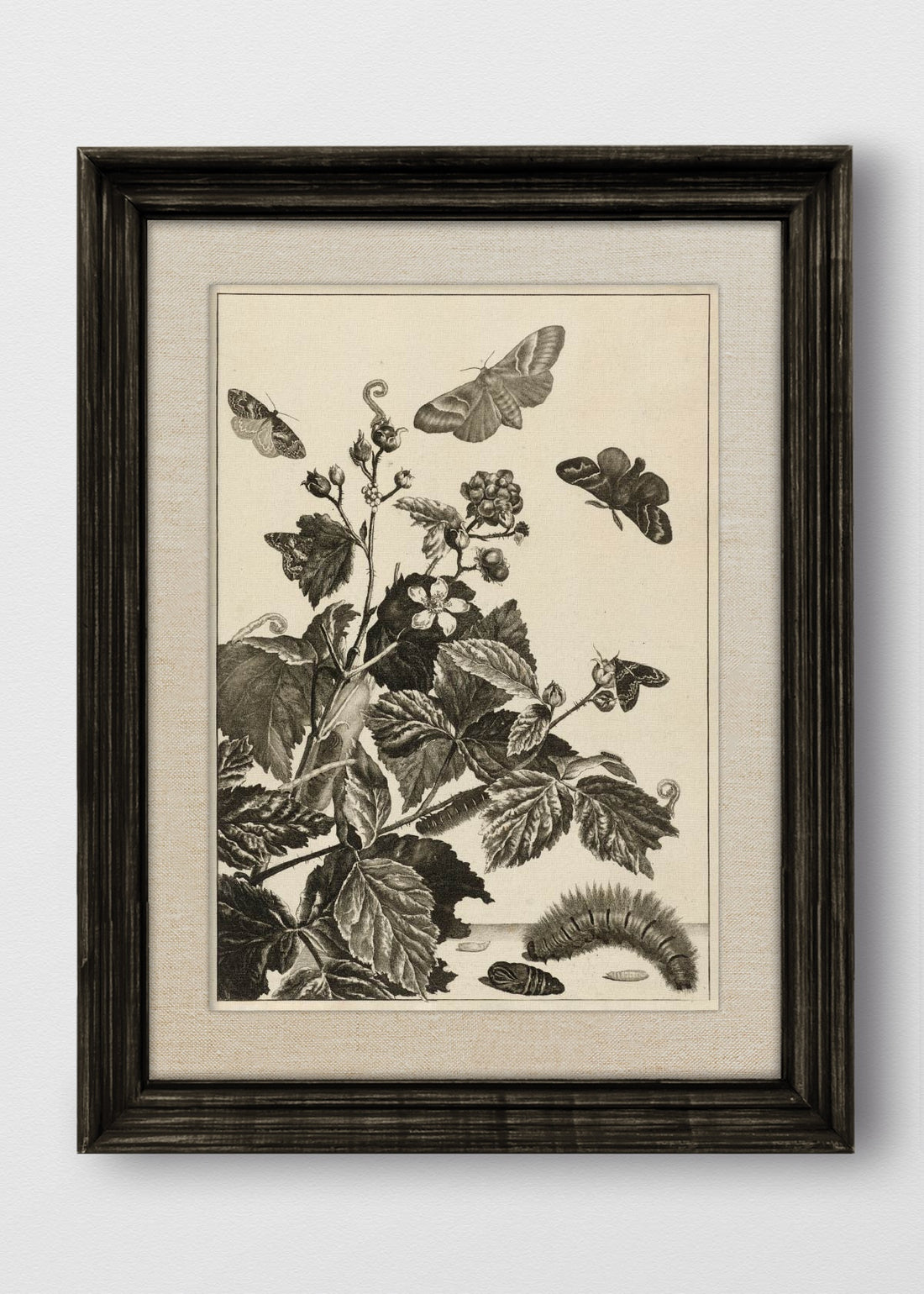 VINTAGE NEGRO LINO CRUDO