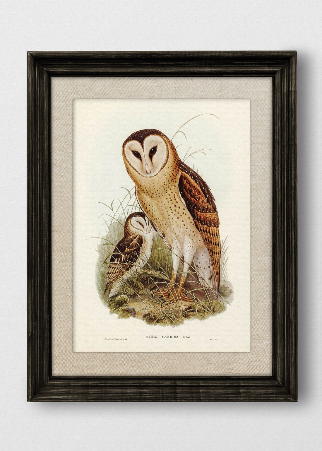 VINTAGE NEGRO LINO CRUDO