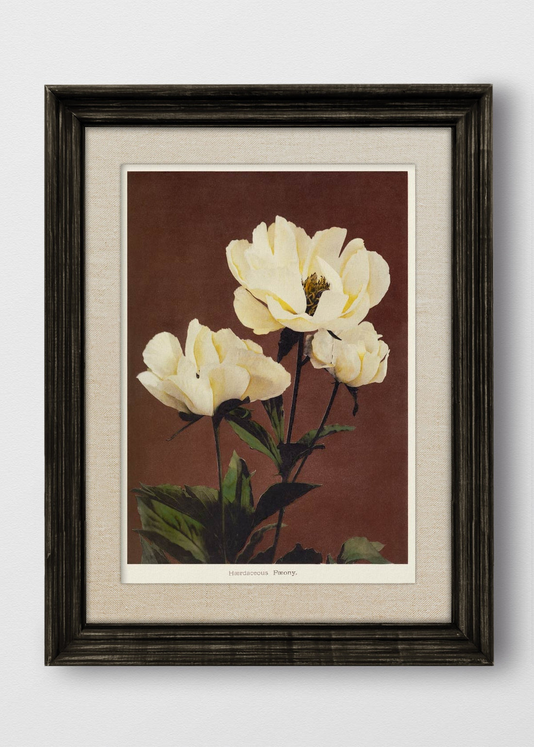 VINTAGE NEGRO LINO CRUDO