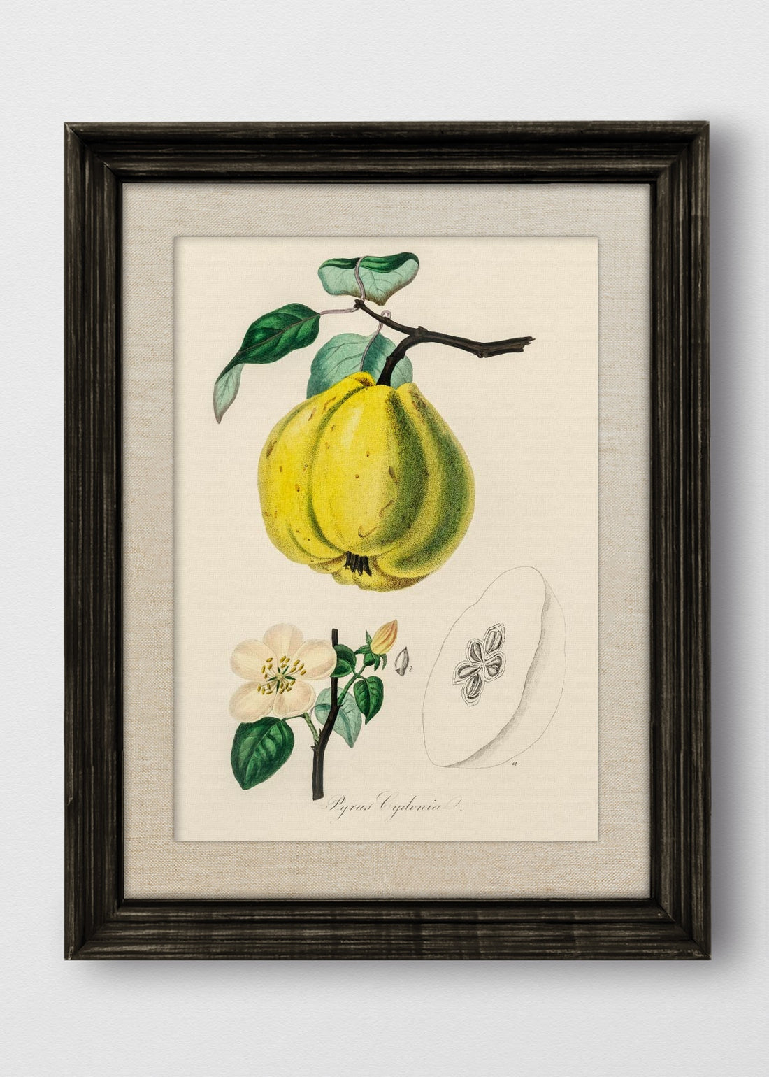 VINTAGE NEGRO LINO CRUDO