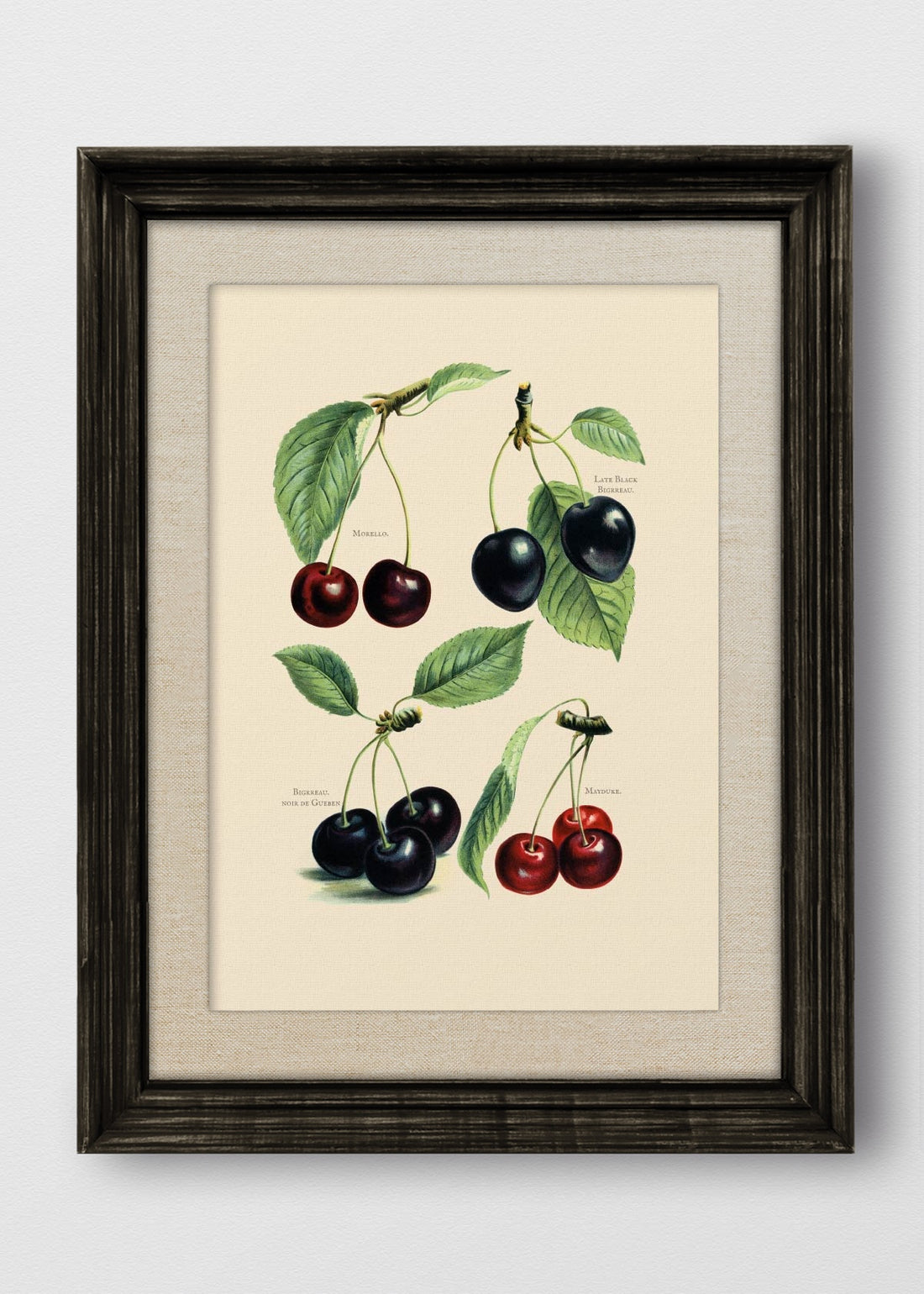 VINTAGE NEGRO LINO CRUDO