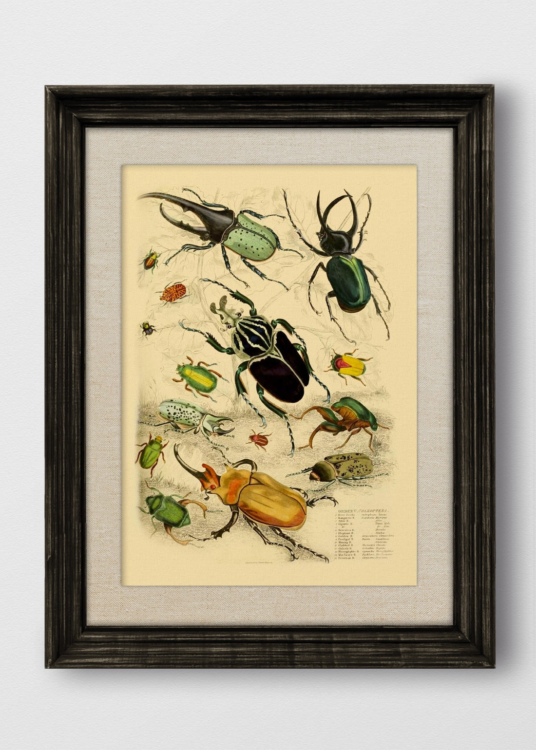 VINTAGE NEGRO LINO CRUDO