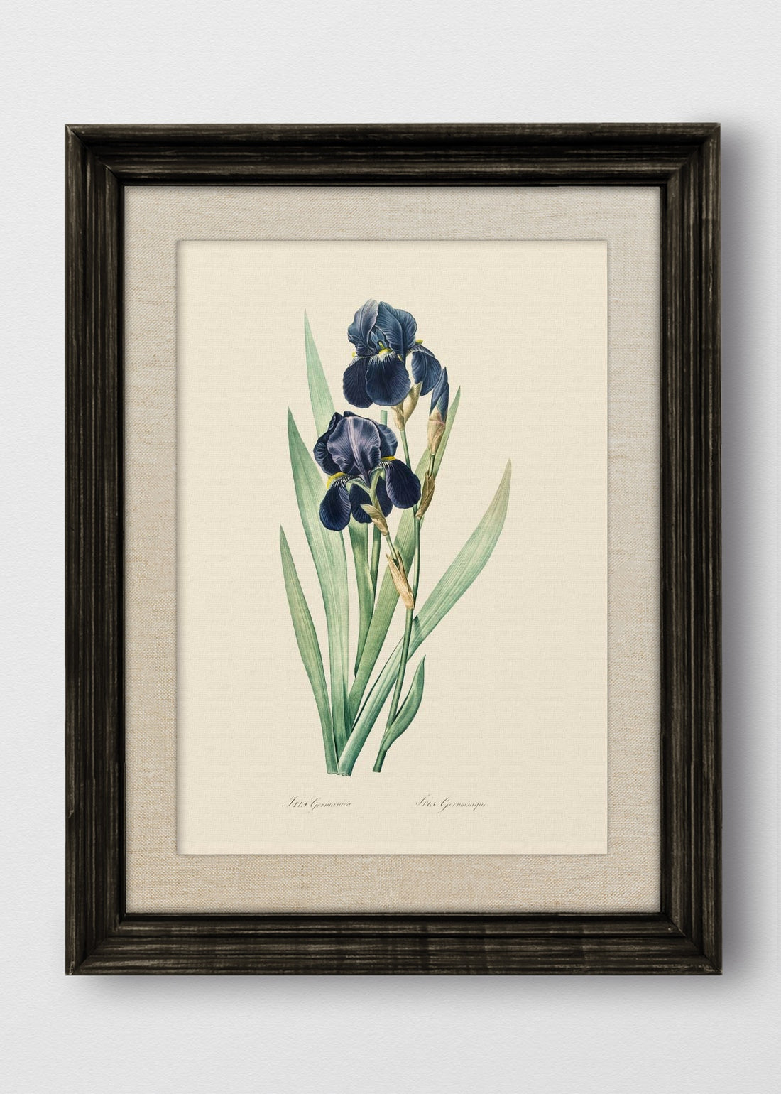 VINTAGE NEGRO LINO CRUDO