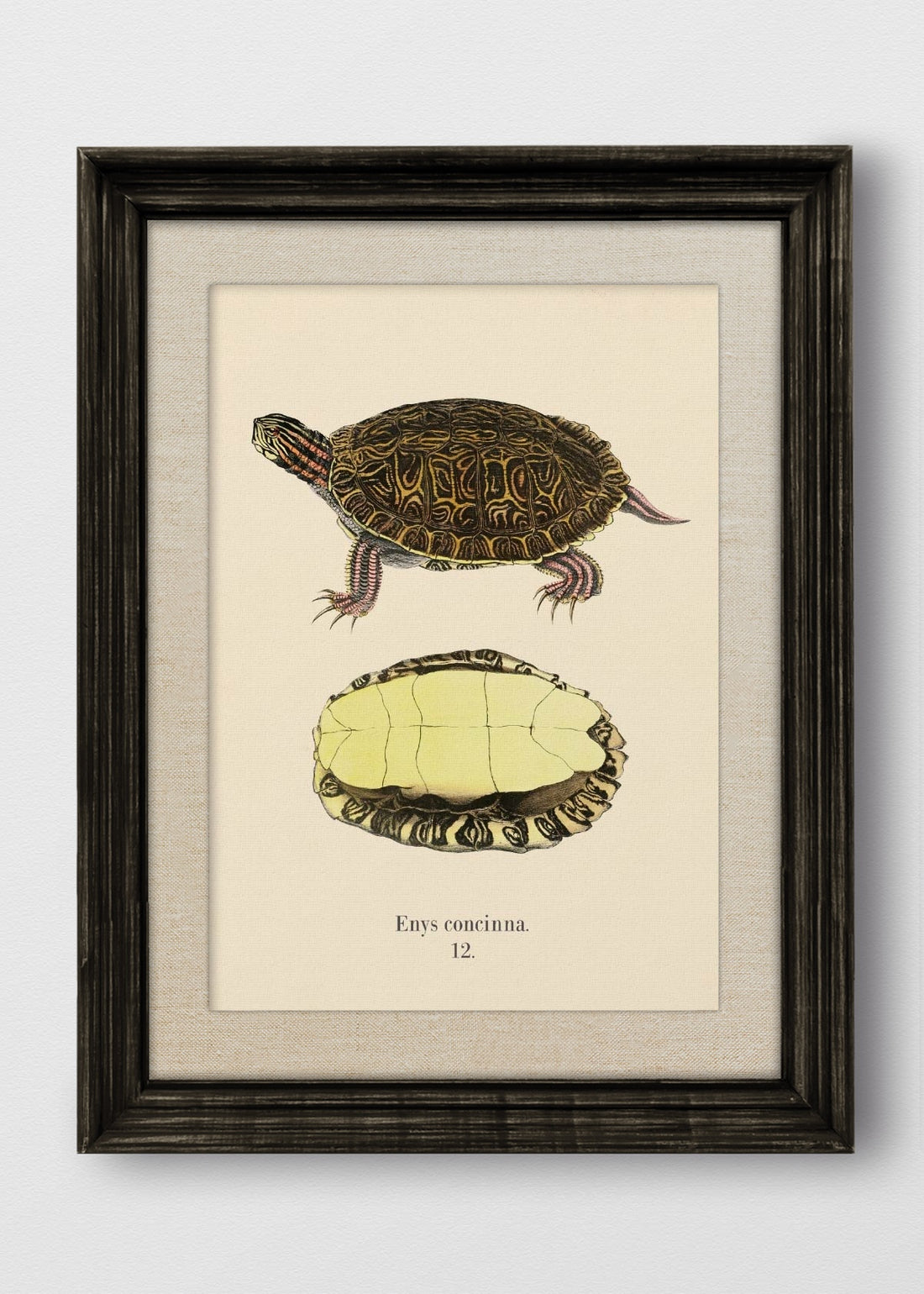 VINTAGE NEGRO LINO CRUDO