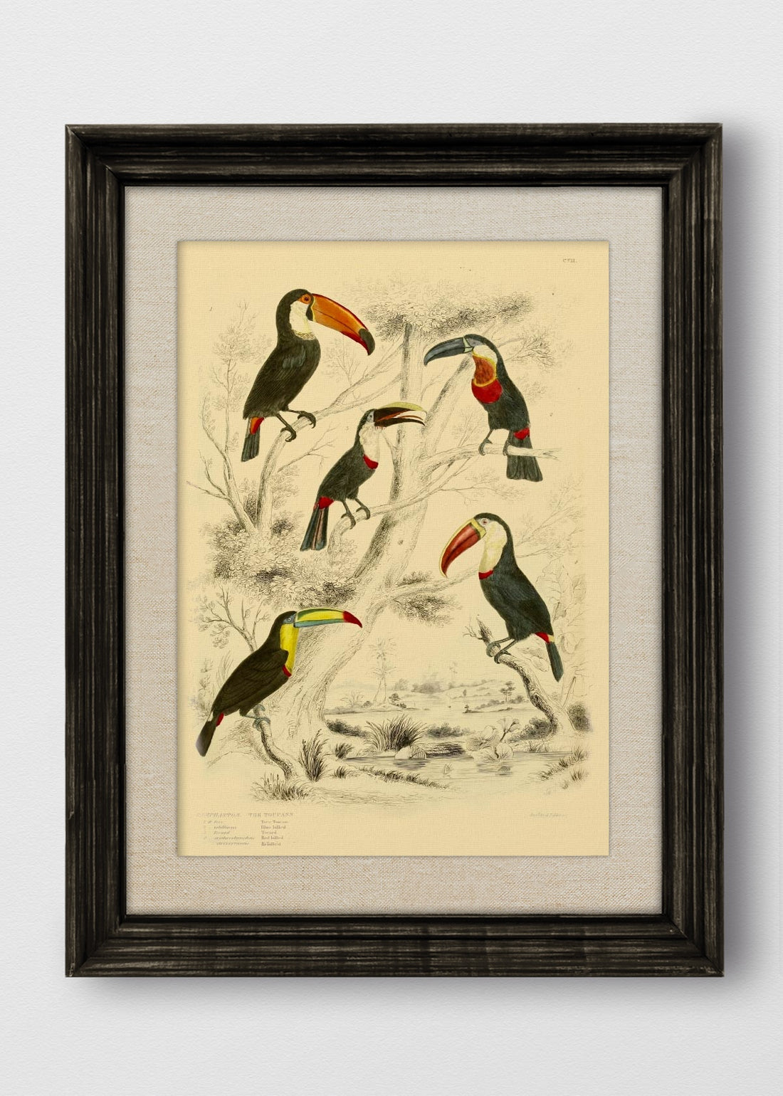 VINTAGE NEGRO LINO CRUDO