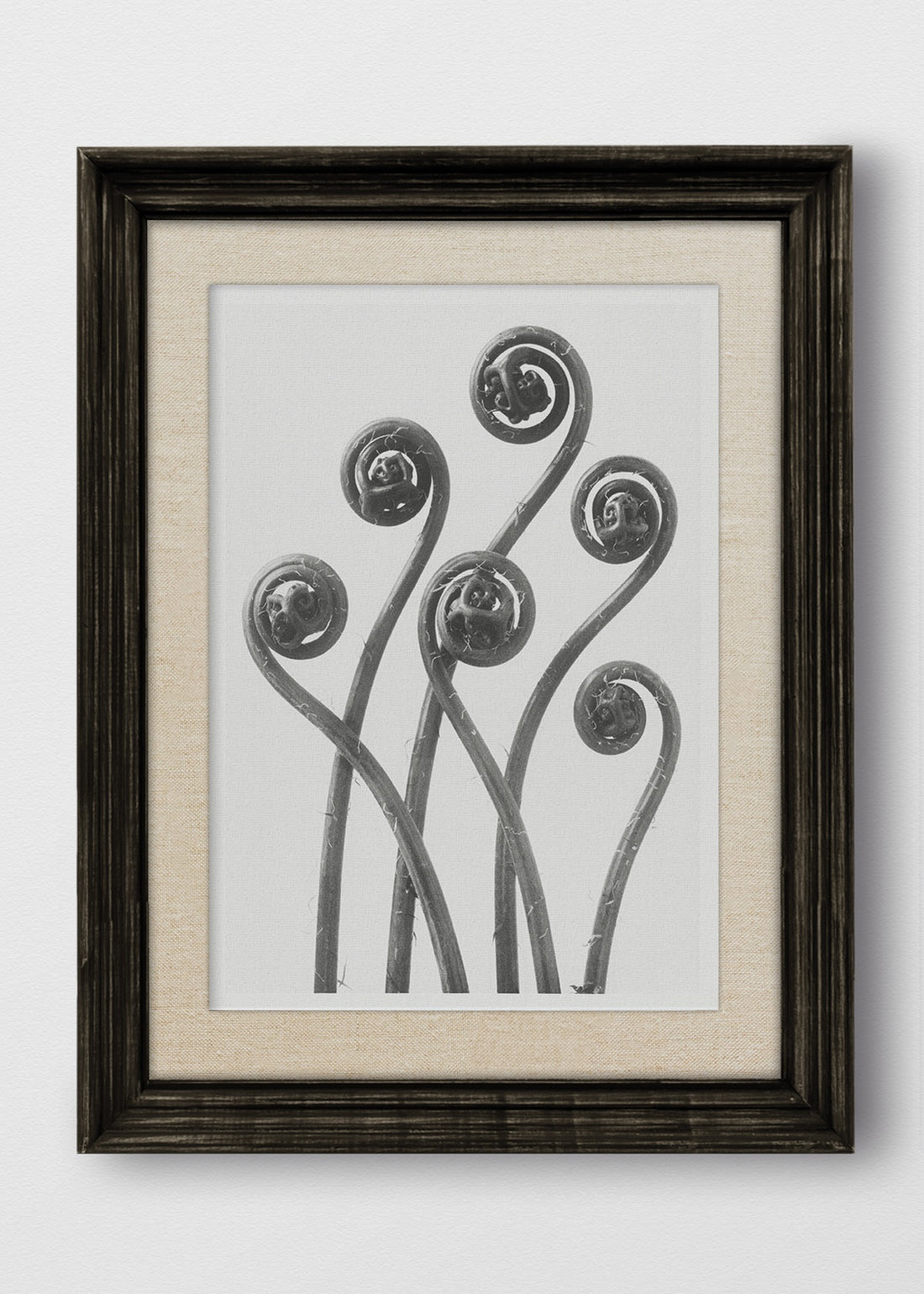 VINTAGE NEGRO LINO CRUDO