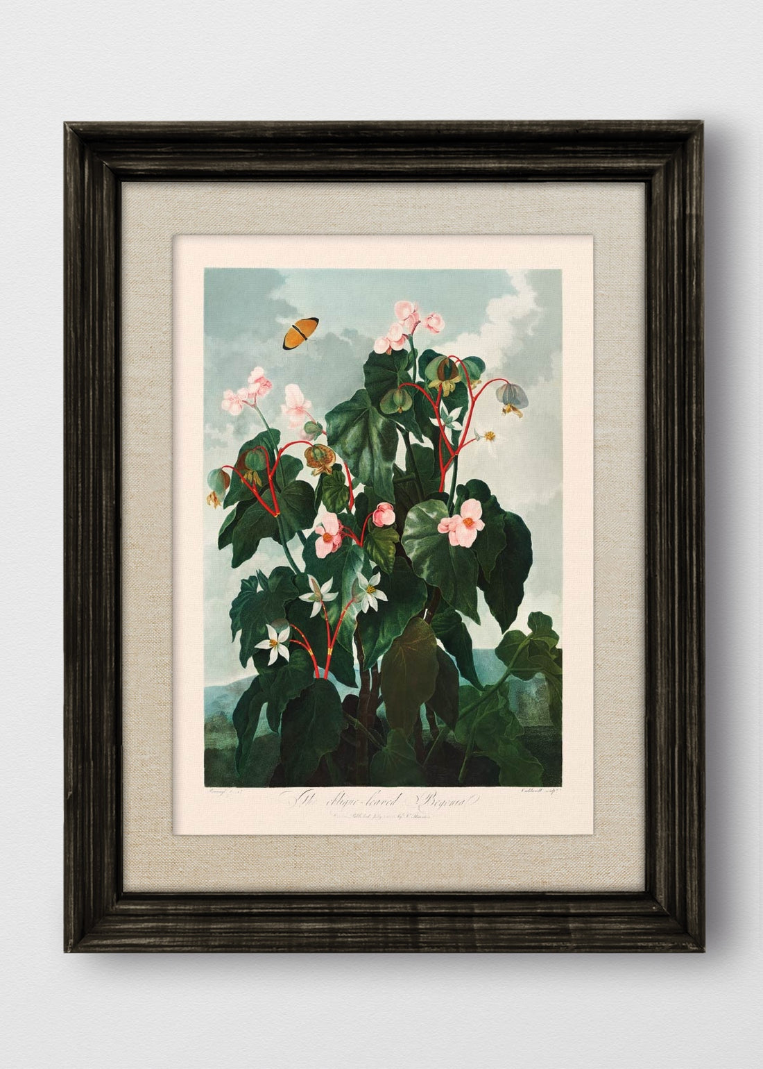 VINTAGE NEGRO LINO CRUDO