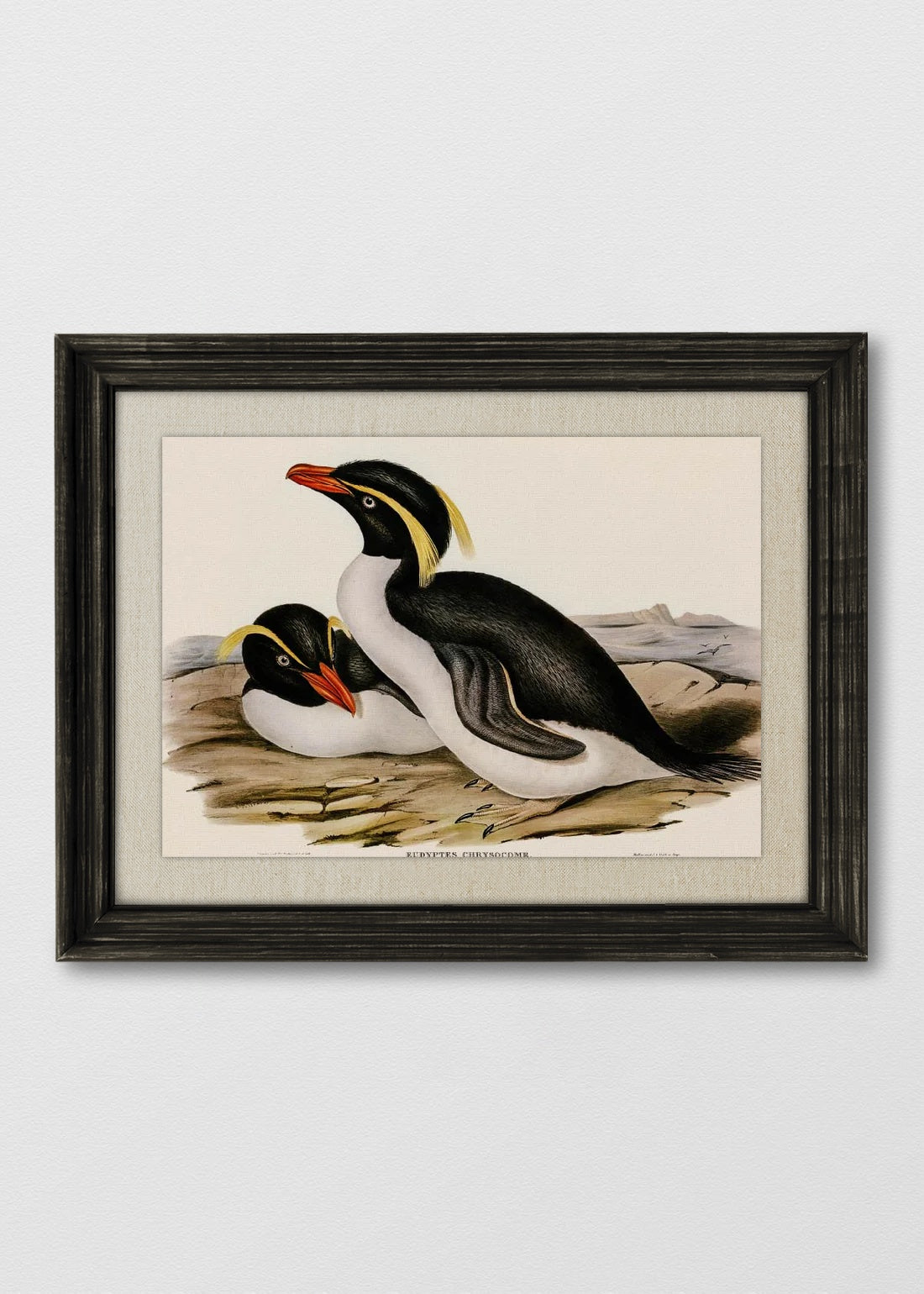 VINTAGE NEGRO LINO CRUDO