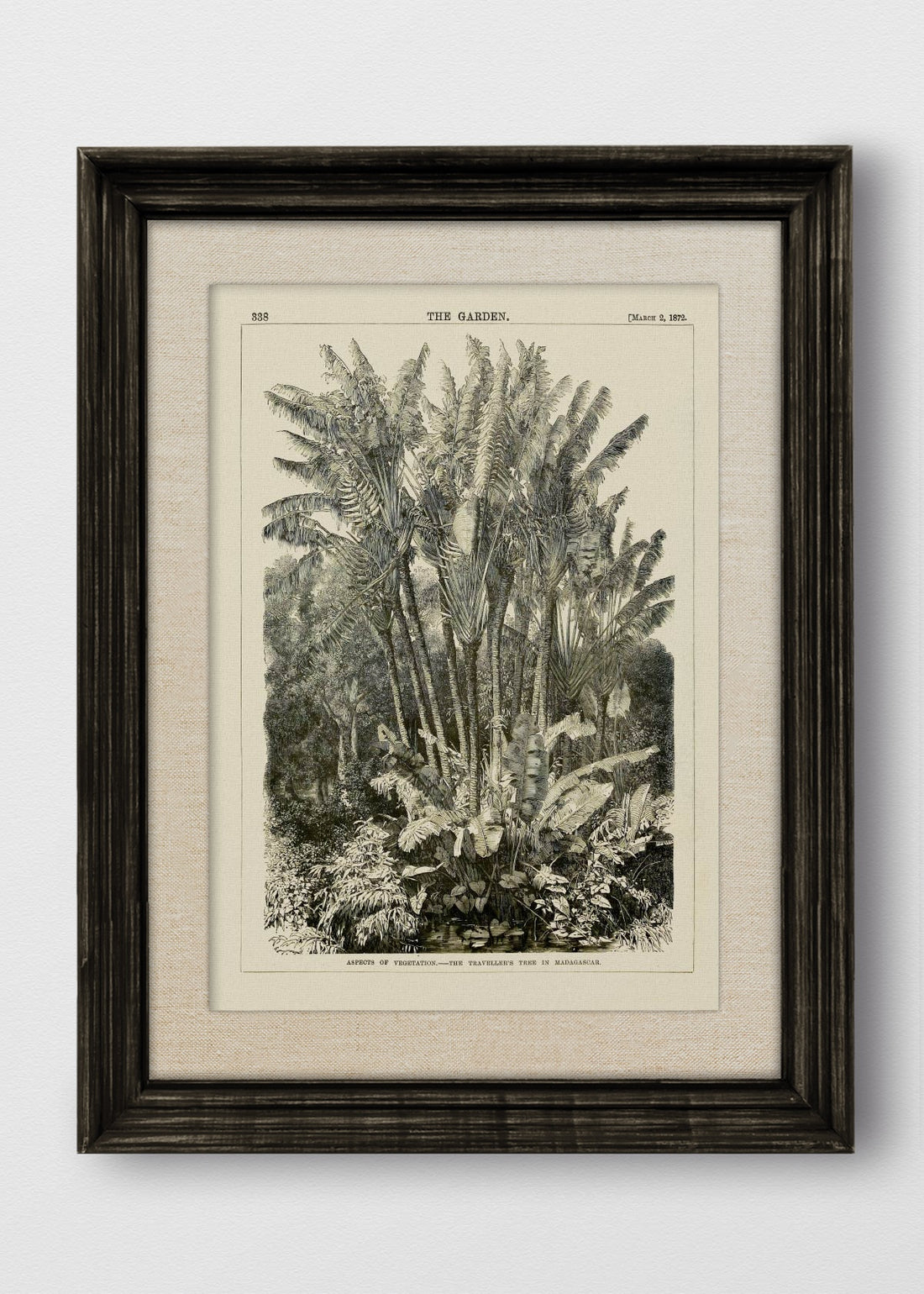 VINTAGE NEGRO LINO CRUDO