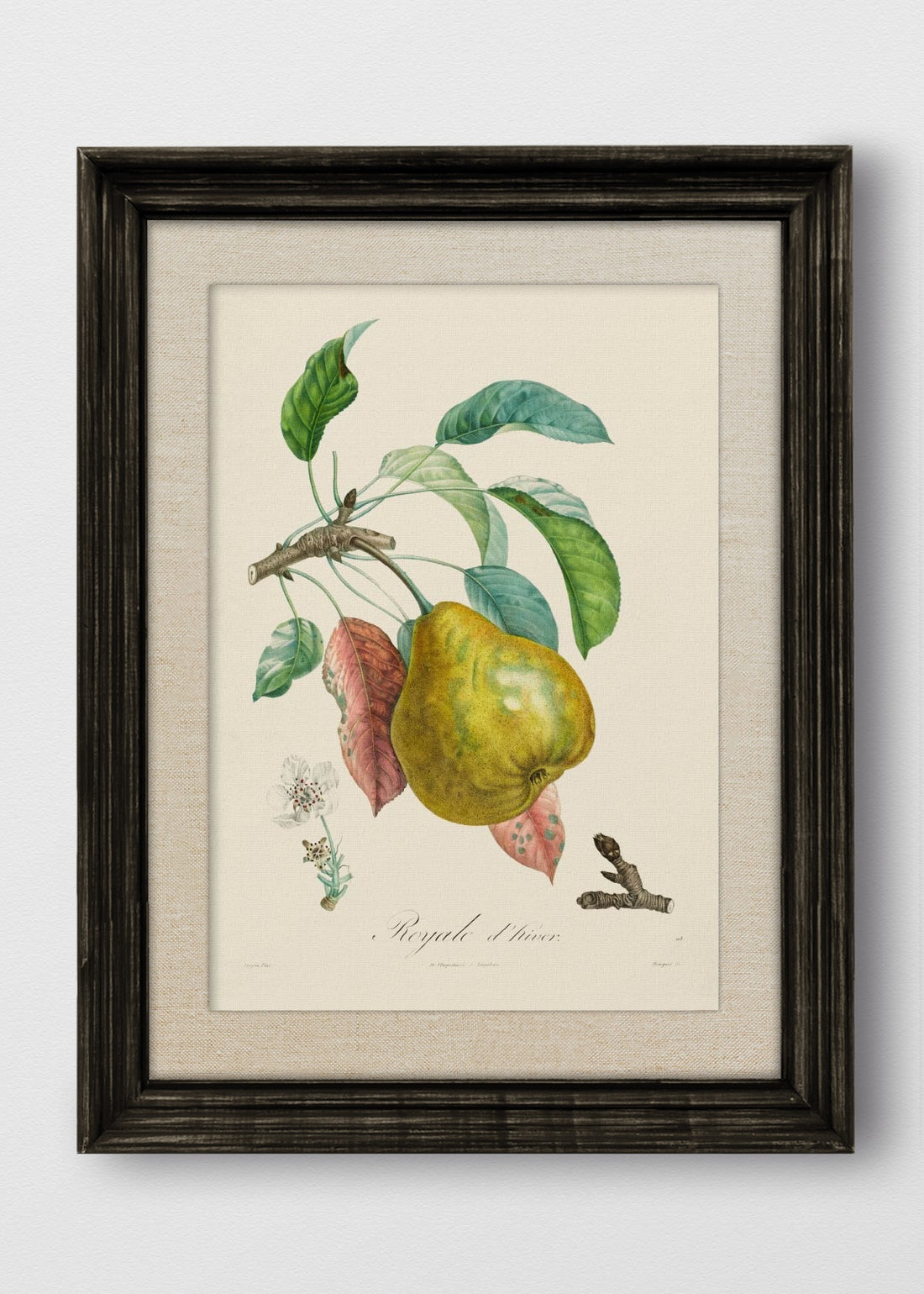 VINTAGE NEGRO LINO CRUDO