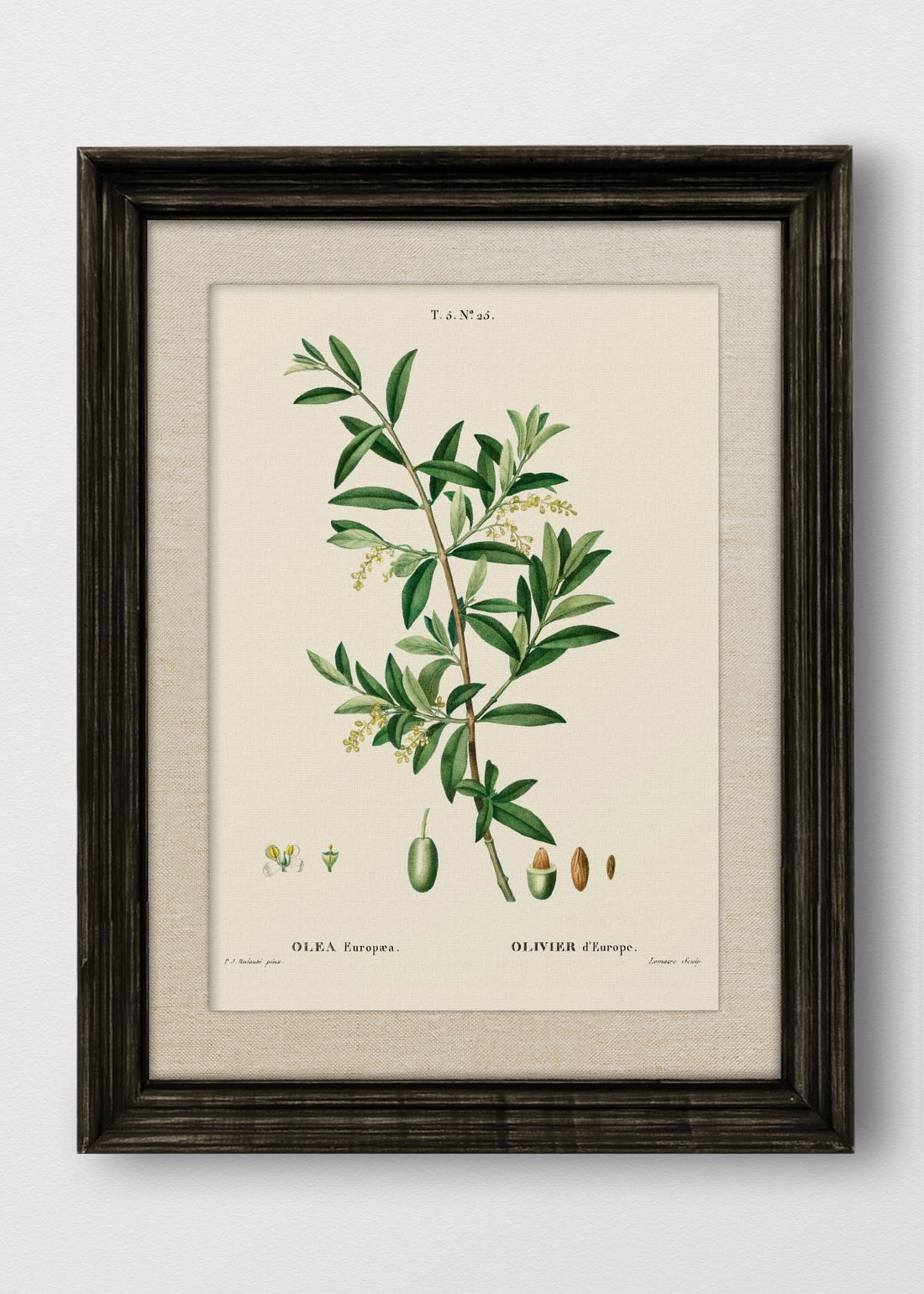 VINTAGE NEGRO LINO CRUDO