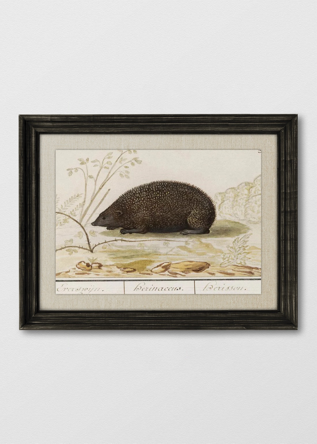VINTAGE NEGRO LINO CRUDO