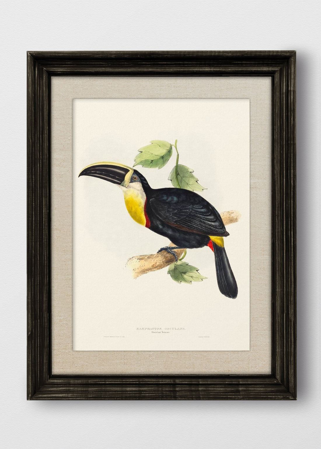 VINTAGE NEGRO LINO CRUDO