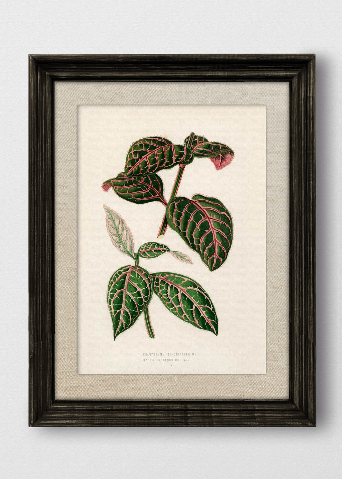 VINTAGE NEGRO LINO CRUDO