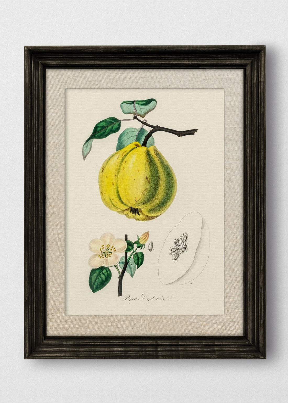 VINTAGE NEGRO LINO CRUDO