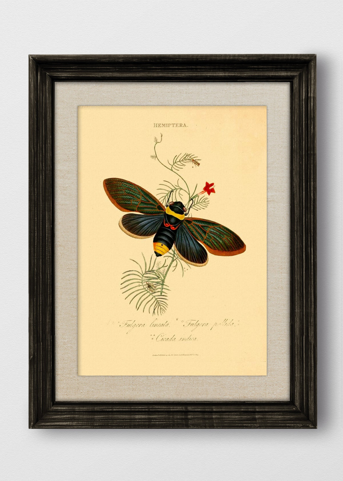 VINTAGE NEGRO LINO CRUDO