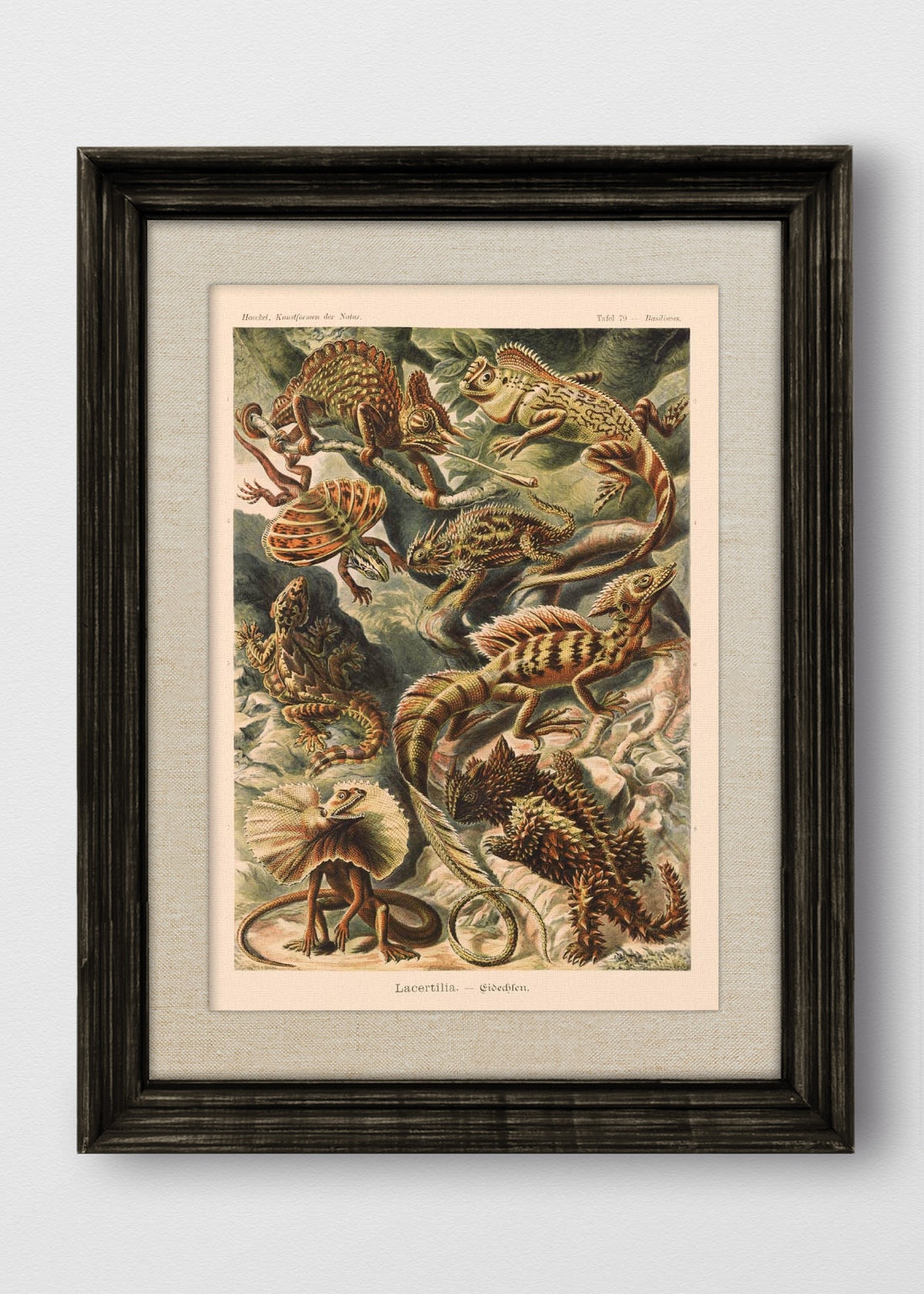 VINTAGE NEGRO LINO CRUDO