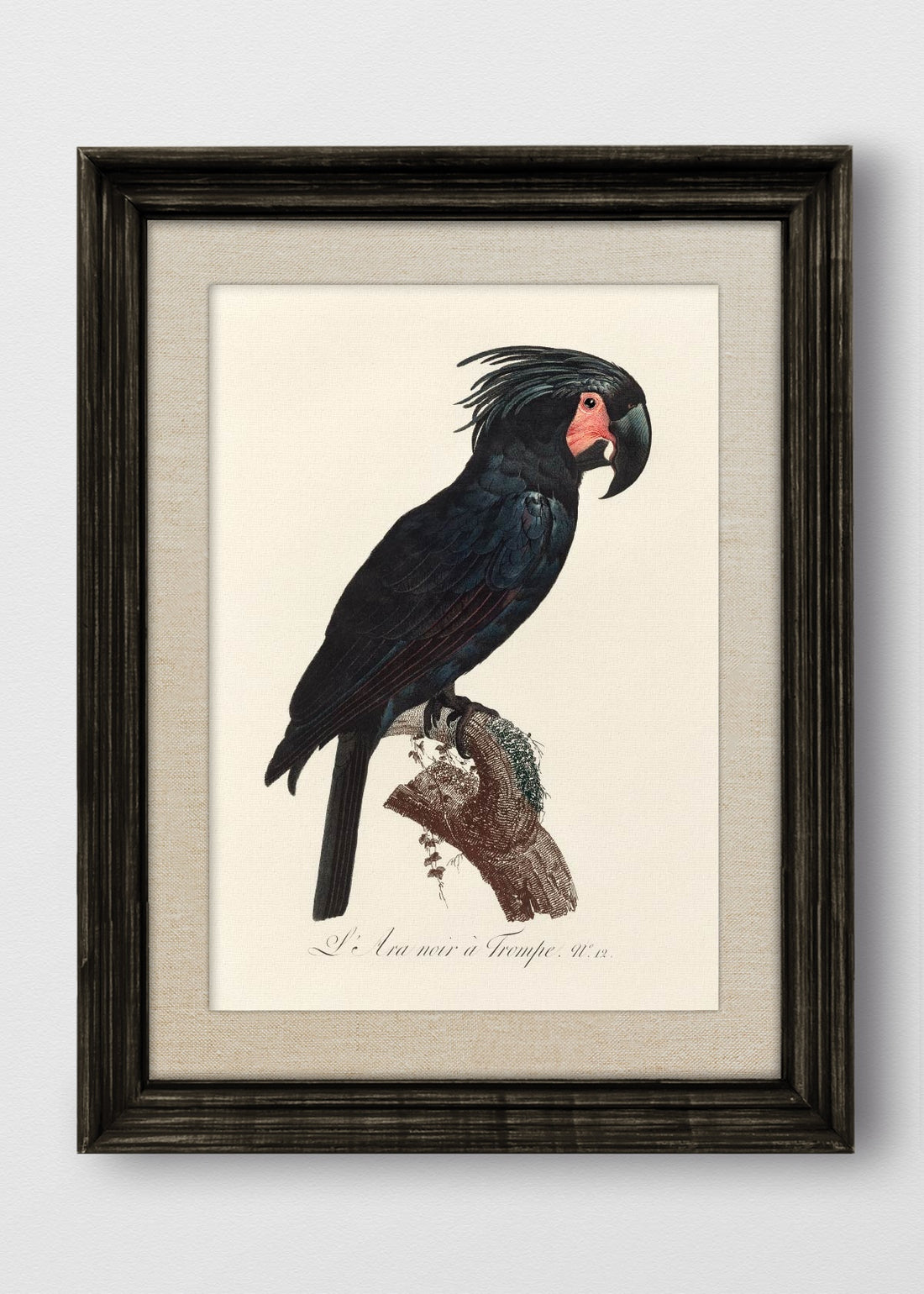 VINTAGE NEGRO LINO CRUDO