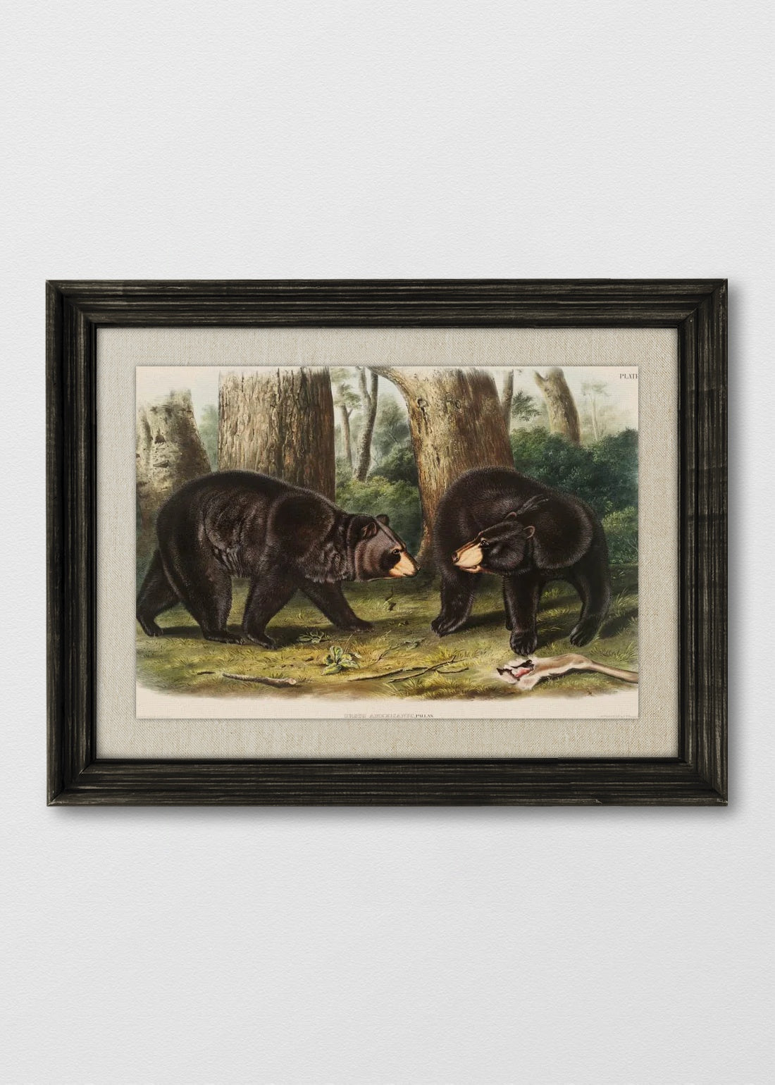 VINTAGE NEGRO LINO CRUDO
