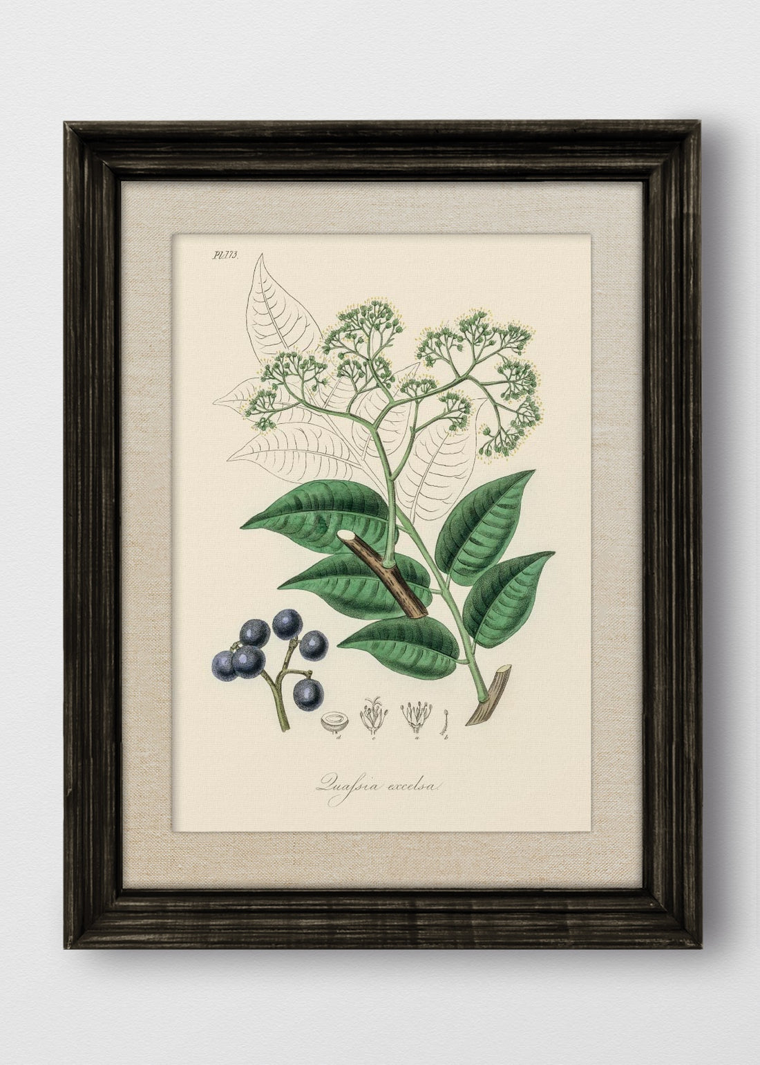 VINTAGE NEGRO LINO CRUDO