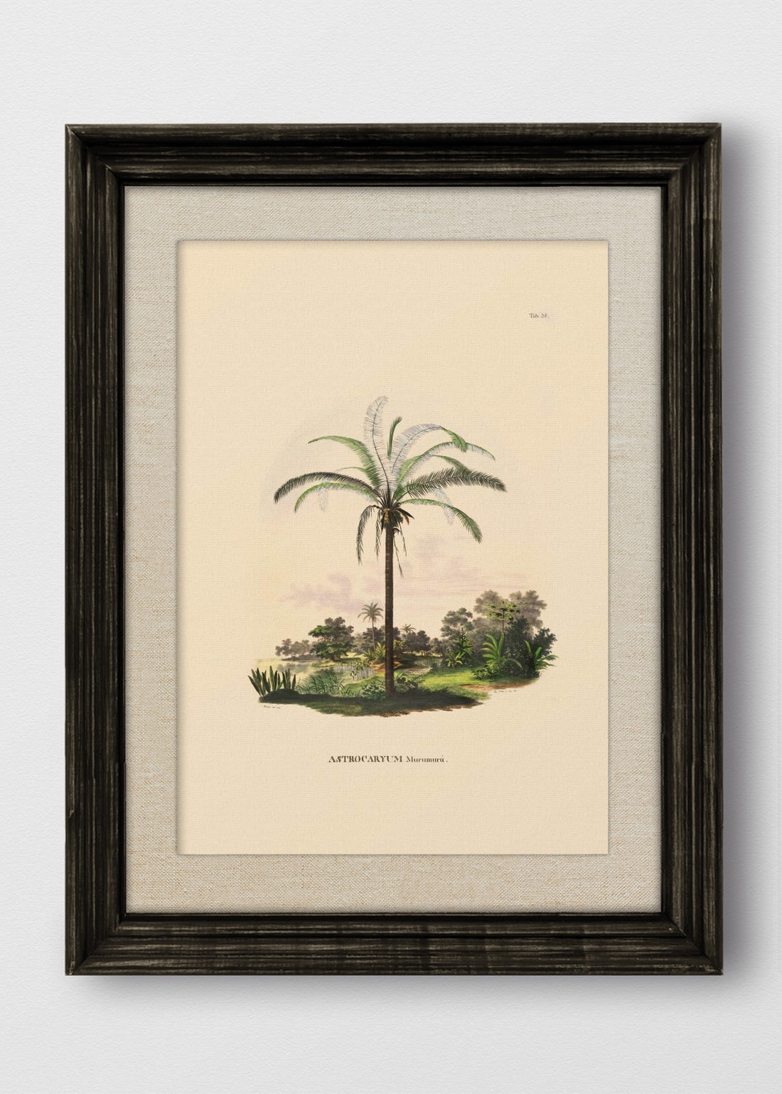 VINTAGE NEGRO LINO CRUDO