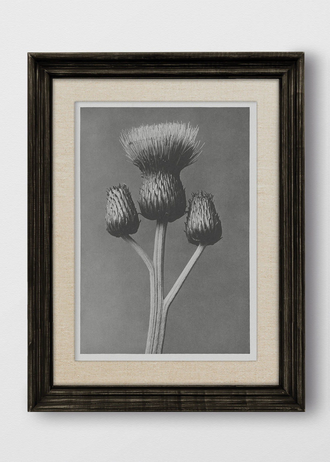 VINTAGE NEGRO LINO CRUDO