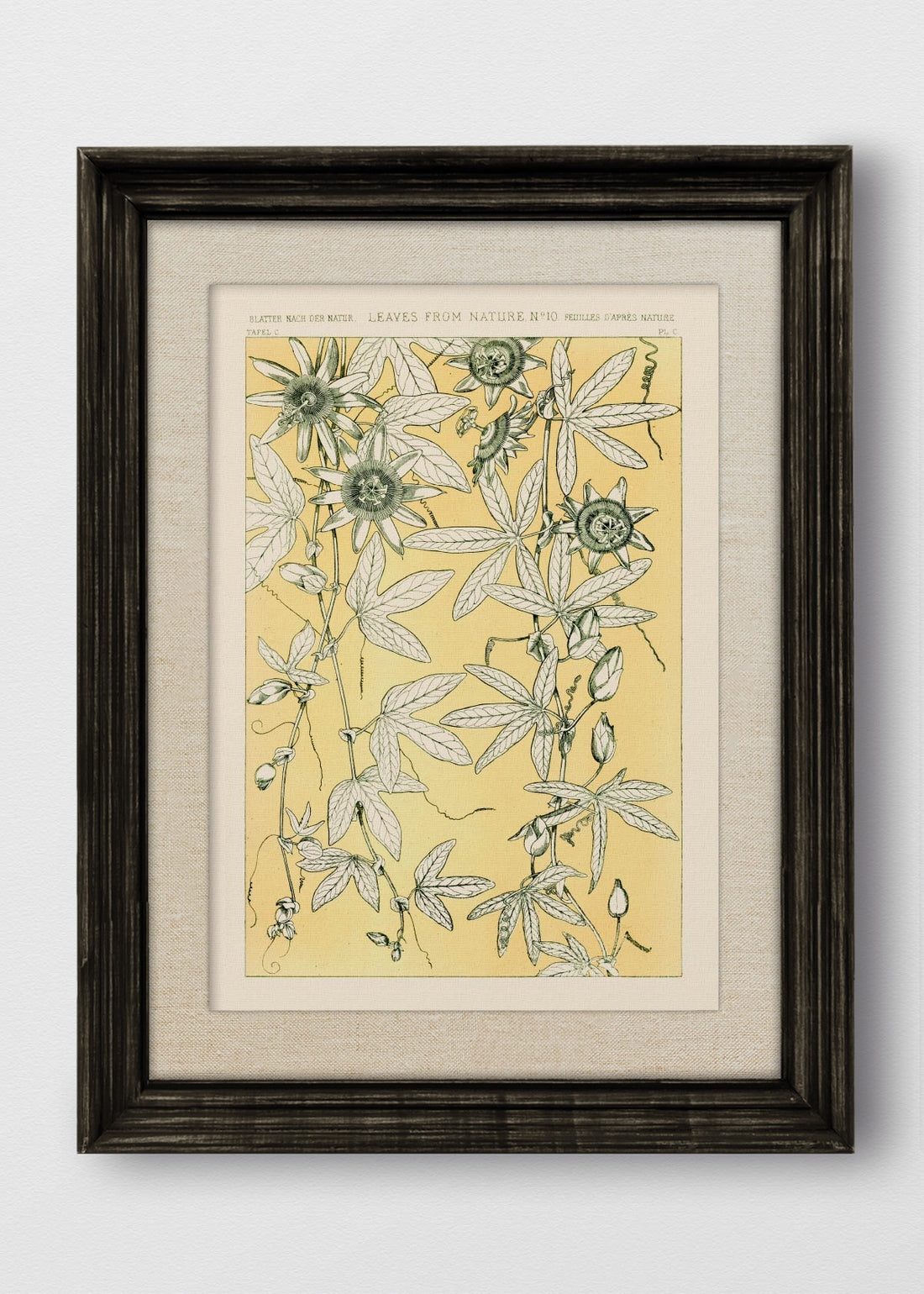 VINTAGE NEGRO LINO CRUDO