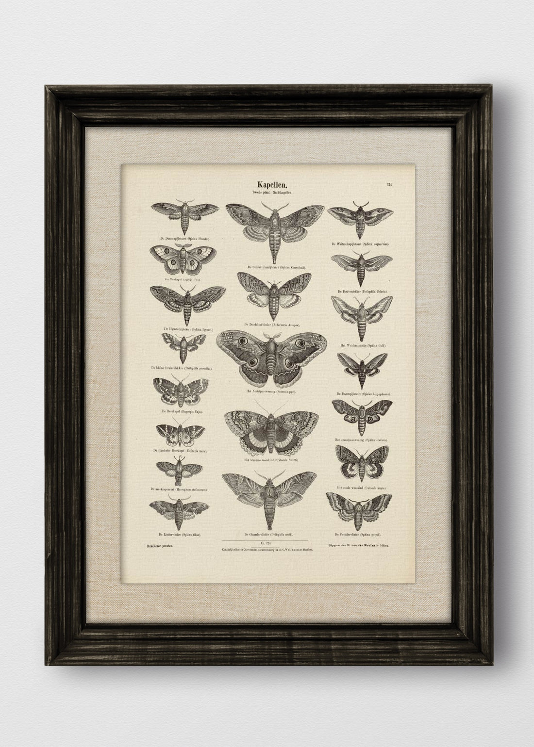 VINTAGE NEGRO LINO CRUDO
