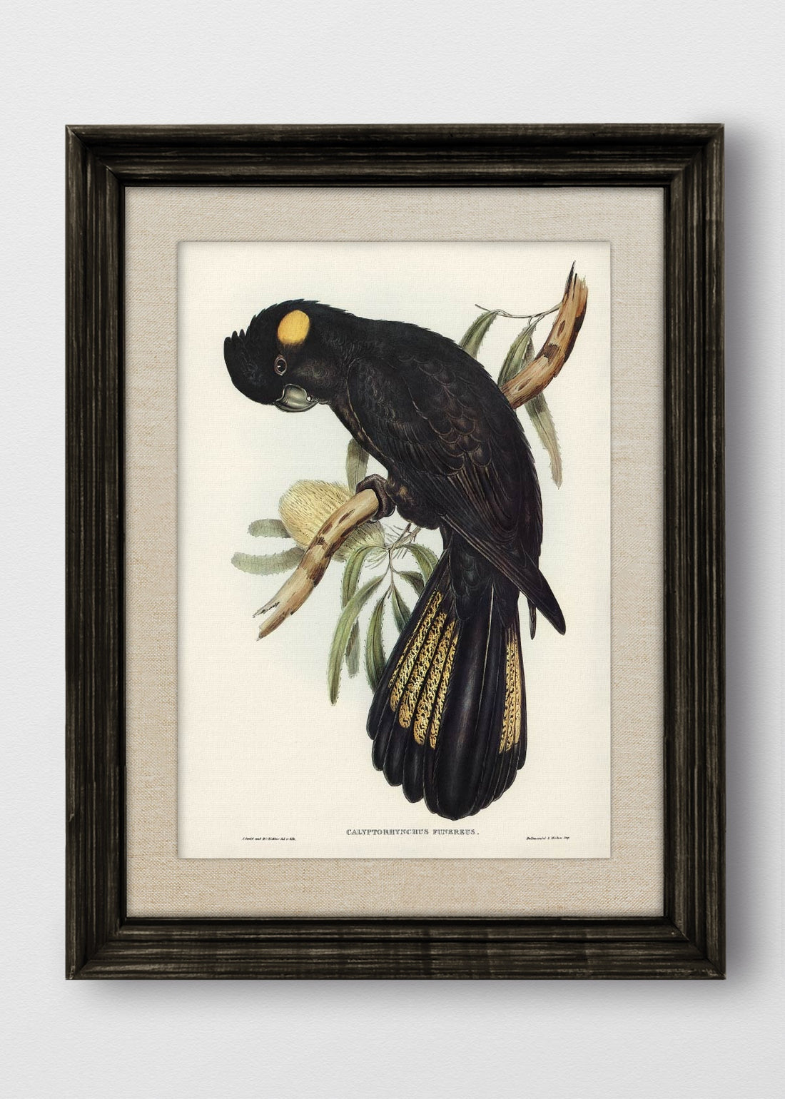 VINTAGE NEGRO LINO CRUDO