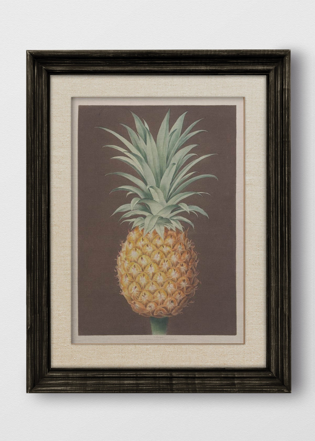 VINTAGE NEGRO LINO CRUDO