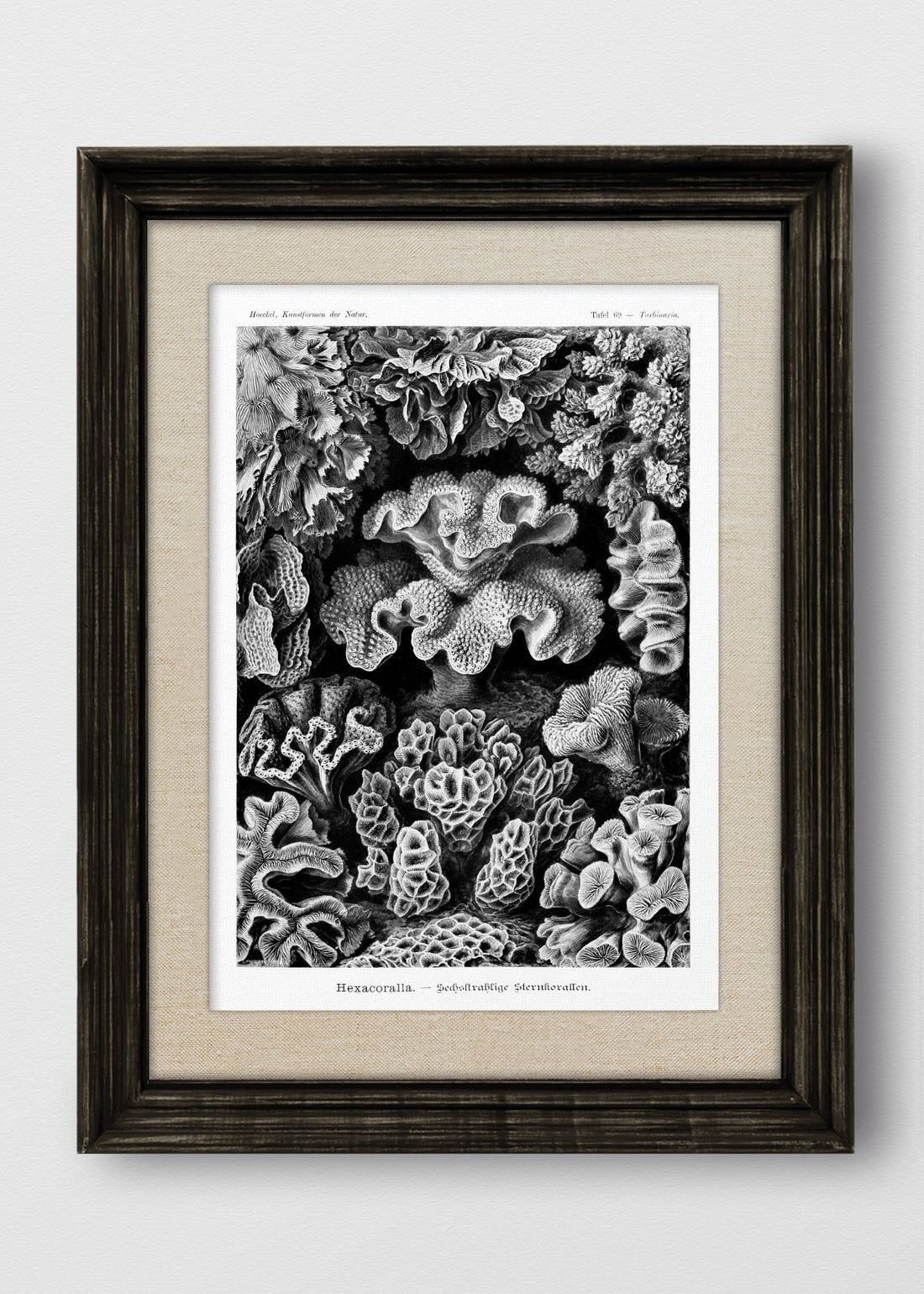 VINTAGE NEGRO LINO CRUDO