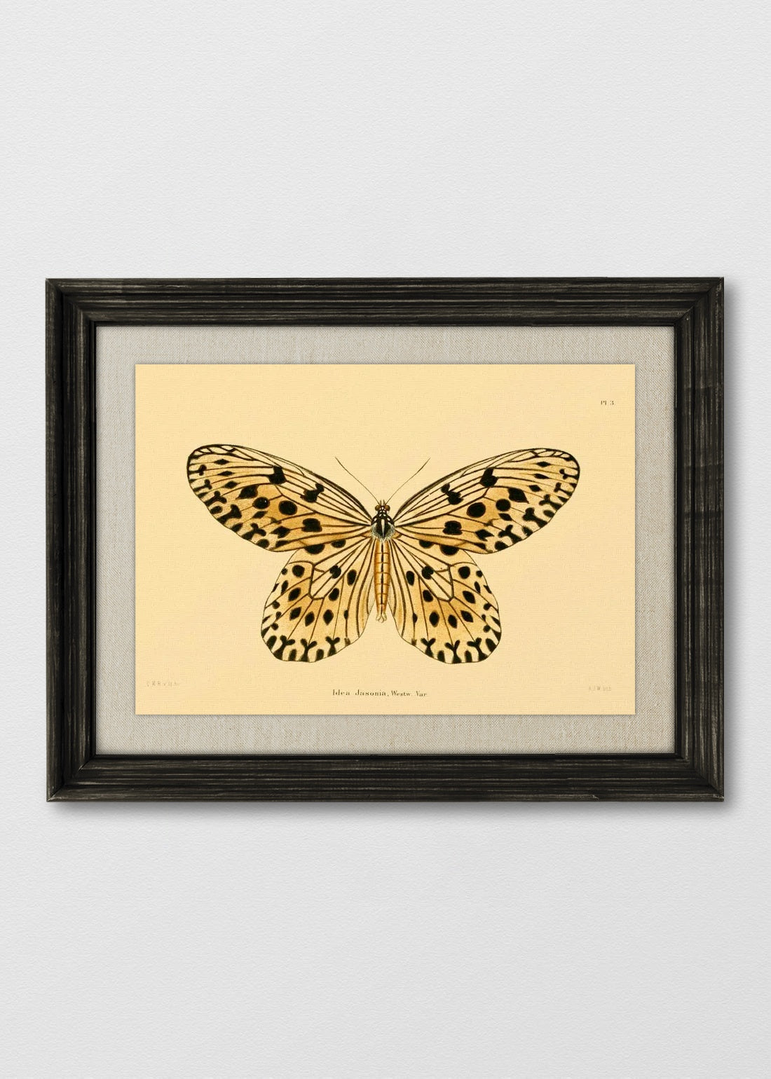 VINTAGE NEGRO LINO CRUDO
