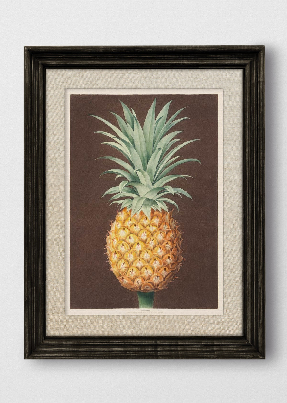 VINTAGE NEGRO LINO CRUDO