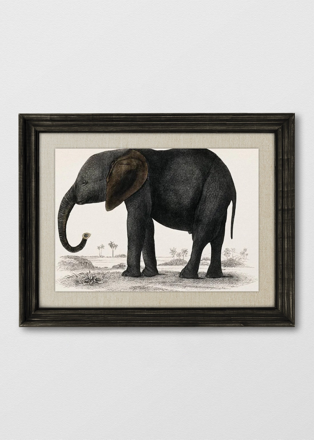 VINTAGE NEGRO LINO CRUDO