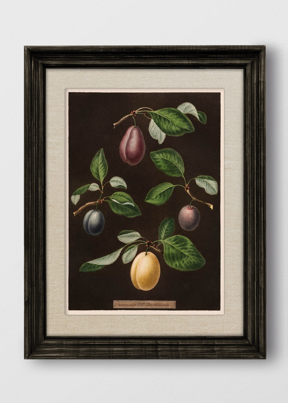 VINTAGE NEGRO LINO CRUDO
