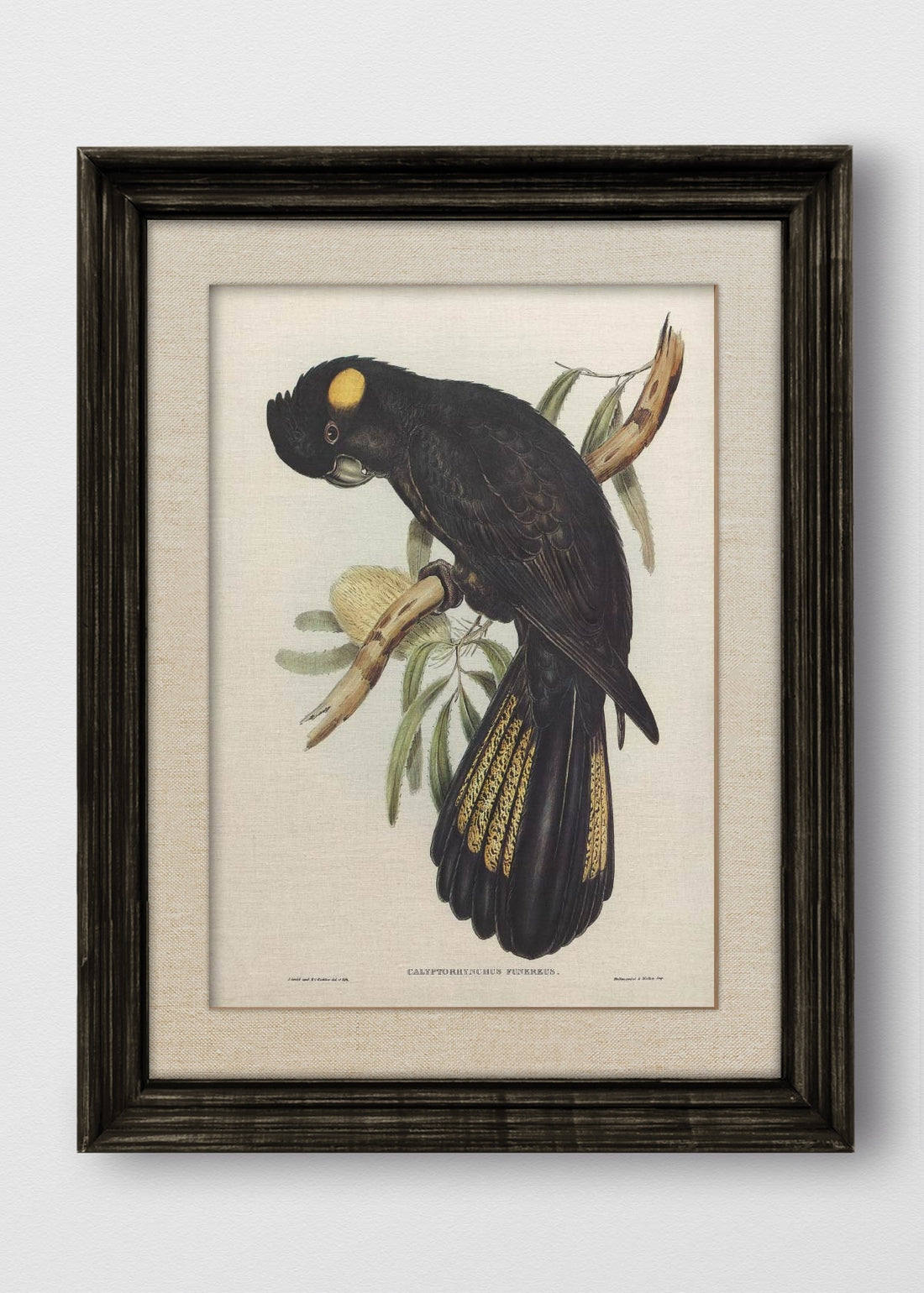 VINTAGE NEGRO LINO CRUDO