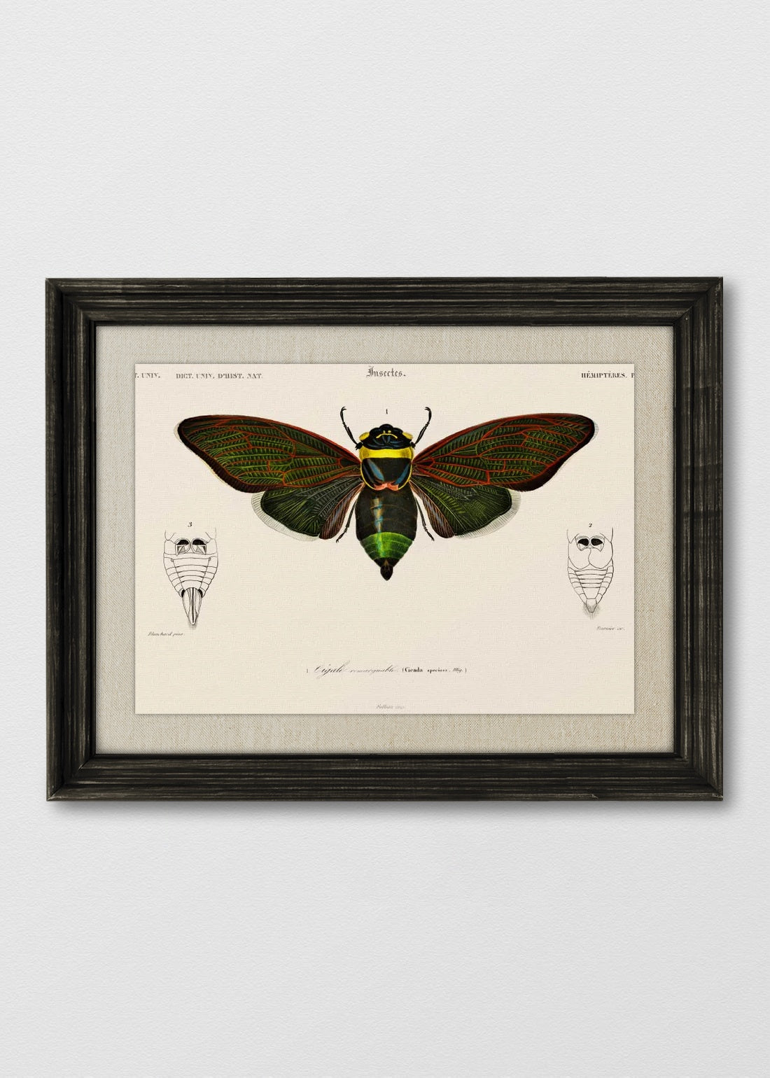 VINTAGE NEGRO LINO CRUDO