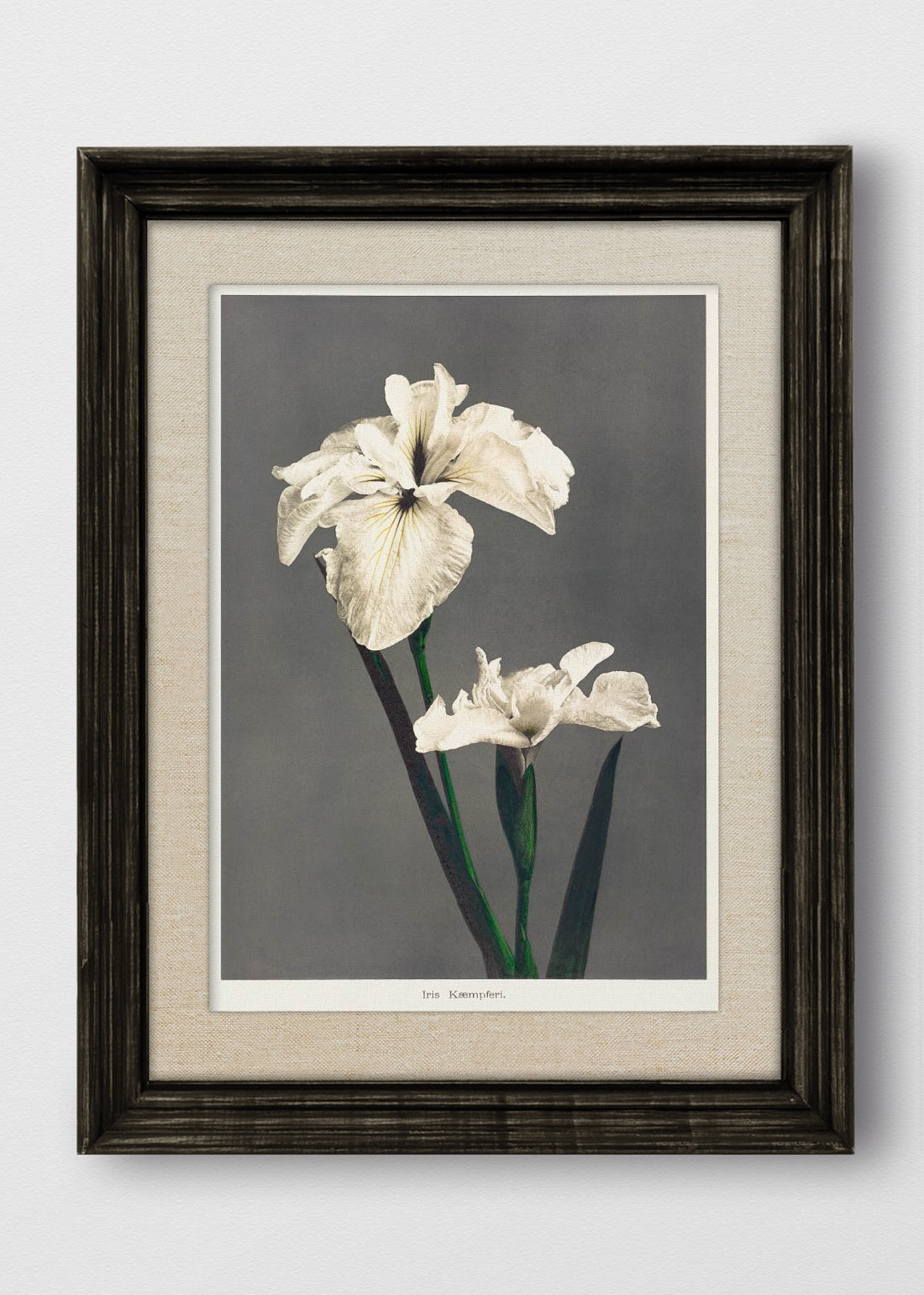 VINTAGE NEGRO LINO CRUDO